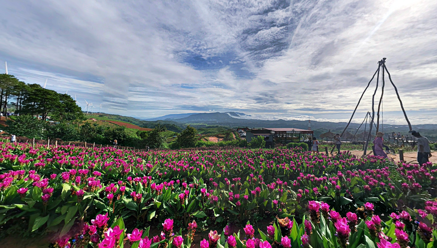 180 all day all season, 180 องศา คาเฟ่, 180' cafe, pino latte resort & cafe, route 12, กาแฟตั๊กม้อ เขาค้อ, จุดชมวิวทะเลหมอก, จุดชมวิวทะเลหมอก อำเภอเขาค้อ, ที่เที่ยว เขาค้อ, ที่เที่ยว เขาค้อ 2020, ที่เที่ยว เขาค้อ 2021, ที่เที่ยว เขาค้อ 2563, ที่เที่ยว เขาค้อ 2564, ที่เที่ยวเขาค้อ, ที่เที่ยวเขาค้อ 2022, ที่เที่ยวเขาค้อ 2565, ทุ่งกังหันลม เขาค้อ, ทุ่งแสลงหลวง, น้ำตกศรีดิษฐ์, พระตำหนักเขาค้อ, พีโน่ ลาเต้, ภูแก้วพีค, ภูแก้วพีค คาเฟ่, วัดพระธาตุผาซ่อนแก้ว, เขาค้อ, เขาค้อ เพชรบูรณ์, เขาตะเคียนโง๊ะ, เที่ยวเขาค้อ, เที่ยวเขาค้อ 2020, เที่ยวเขาค้อ 2021, เที่ยวเขาค้อ 2563, เที่ยวเขาค้อ 2564, โรงเตี๊ยมสุดขอบฟ้า, top 12+ ที่เที่ยวเขาค้อ [กรกฎาคม 2024] แวะเที่ยว เช็คอิน ฟินไปกับธรรมชาติ