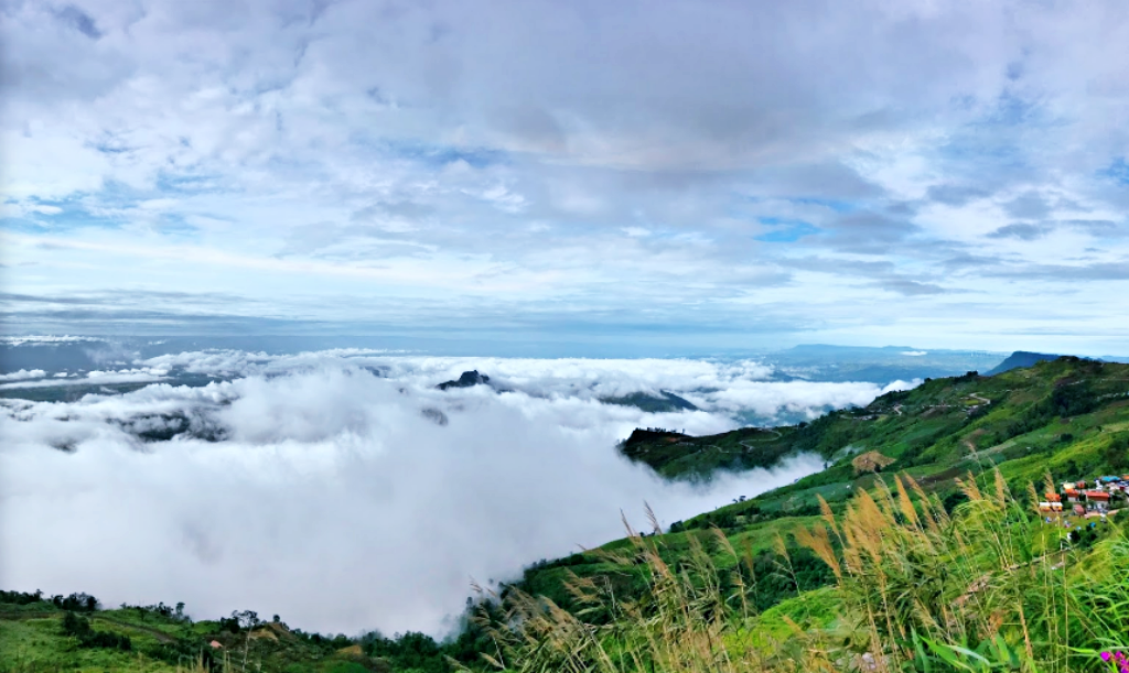 180 all day all season, 180 องศา คาเฟ่, 180' cafe, pino latte resort & cafe, route 12, กาแฟตั๊กม้อ เขาค้อ, จุดชมวิวทะเลหมอก, จุดชมวิวทะเลหมอก อำเภอเขาค้อ, ที่เที่ยว เขาค้อ, ที่เที่ยว เขาค้อ 2020, ที่เที่ยว เขาค้อ 2021, ที่เที่ยว เขาค้อ 2563, ที่เที่ยว เขาค้อ 2564, ที่เที่ยวเขาค้อ, ที่เที่ยวเขาค้อ 2022, ที่เที่ยวเขาค้อ 2565, ทุ่งกังหันลม เขาค้อ, ทุ่งแสลงหลวง, น้ำตกศรีดิษฐ์, พระตำหนักเขาค้อ, พีโน่ ลาเต้, ภูแก้วพีค, ภูแก้วพีค คาเฟ่, วัดพระธาตุผาซ่อนแก้ว, เขาค้อ, เขาค้อ เพชรบูรณ์, เขาตะเคียนโง๊ะ, เที่ยวเขาค้อ, เที่ยวเขาค้อ 2020, เที่ยวเขาค้อ 2021, เที่ยวเขาค้อ 2563, เที่ยวเขาค้อ 2564, โรงเตี๊ยมสุดขอบฟ้า, top 12+ ที่เที่ยวเขาค้อ [กรกฎาคม 2024] แวะเที่ยว เช็คอิน ฟินไปกับธรรมชาติ