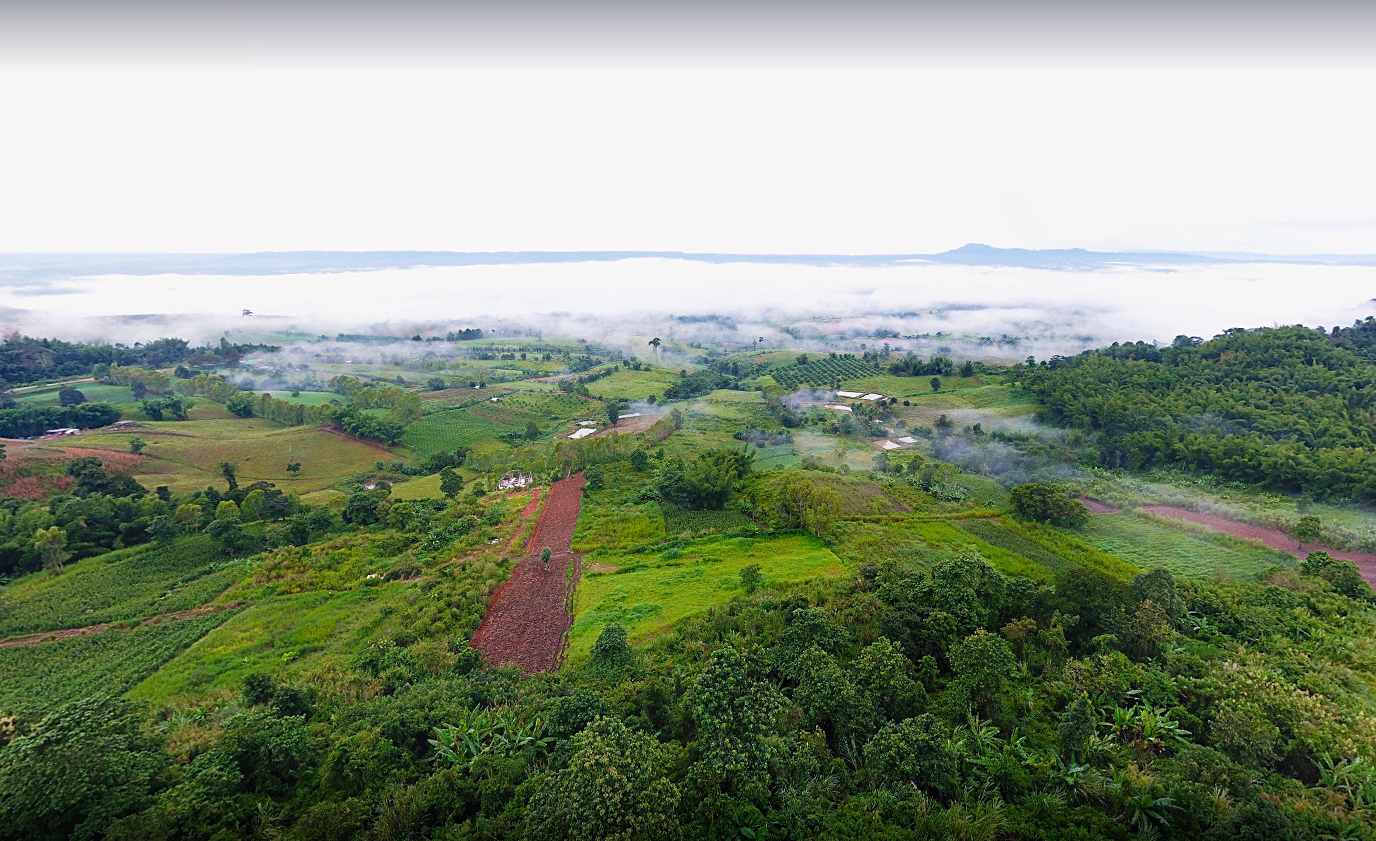 180 all day all season, 180 องศา คาเฟ่, 180' cafe, pino latte resort & cafe, route 12, กาแฟตั๊กม้อ เขาค้อ, จุดชมวิวทะเลหมอก, จุดชมวิวทะเลหมอก อำเภอเขาค้อ, ที่เที่ยว เขาค้อ, ที่เที่ยว เขาค้อ 2020, ที่เที่ยว เขาค้อ 2021, ที่เที่ยว เขาค้อ 2563, ที่เที่ยว เขาค้อ 2564, ที่เที่ยวเขาค้อ, ที่เที่ยวเขาค้อ 2022, ที่เที่ยวเขาค้อ 2565, ทุ่งกังหันลม เขาค้อ, ทุ่งแสลงหลวง, น้ำตกศรีดิษฐ์, พระตำหนักเขาค้อ, พีโน่ ลาเต้, ภูแก้วพีค, ภูแก้วพีค คาเฟ่, วัดพระธาตุผาซ่อนแก้ว, เขาค้อ, เขาค้อ เพชรบูรณ์, เขาตะเคียนโง๊ะ, เที่ยวเขาค้อ, เที่ยวเขาค้อ 2020, เที่ยวเขาค้อ 2021, เที่ยวเขาค้อ 2563, เที่ยวเขาค้อ 2564, โรงเตี๊ยมสุดขอบฟ้า, top 12+ ที่เที่ยวเขาค้อ [กรกฎาคม 2024] แวะเที่ยว เช็คอิน ฟินไปกับธรรมชาติ