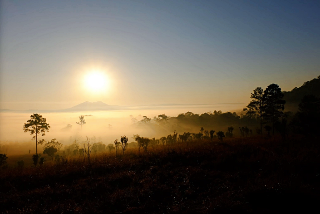 180 all day all season, 180 องศา คาเฟ่, 180' cafe, pino latte resort & cafe, route 12, กาแฟตั๊กม้อ เขาค้อ, จุดชมวิวทะเลหมอก, จุดชมวิวทะเลหมอก อำเภอเขาค้อ, ที่เที่ยว เขาค้อ, ที่เที่ยว เขาค้อ 2020, ที่เที่ยว เขาค้อ 2021, ที่เที่ยว เขาค้อ 2563, ที่เที่ยว เขาค้อ 2564, ที่เที่ยวเขาค้อ, ที่เที่ยวเขาค้อ 2022, ที่เที่ยวเขาค้อ 2565, ทุ่งกังหันลม เขาค้อ, ทุ่งแสลงหลวง, น้ำตกศรีดิษฐ์, พระตำหนักเขาค้อ, พีโน่ ลาเต้, ภูแก้วพีค, ภูแก้วพีค คาเฟ่, วัดพระธาตุผาซ่อนแก้ว, เขาค้อ, เขาค้อ เพชรบูรณ์, เขาตะเคียนโง๊ะ, เที่ยวเขาค้อ, เที่ยวเขาค้อ 2020, เที่ยวเขาค้อ 2021, เที่ยวเขาค้อ 2563, เที่ยวเขาค้อ 2564, โรงเตี๊ยมสุดขอบฟ้า, top 12+ ที่เที่ยวเขาค้อ [กรกฎาคม 2024] แวะเที่ยว เช็คอิน ฟินไปกับธรรมชาติ