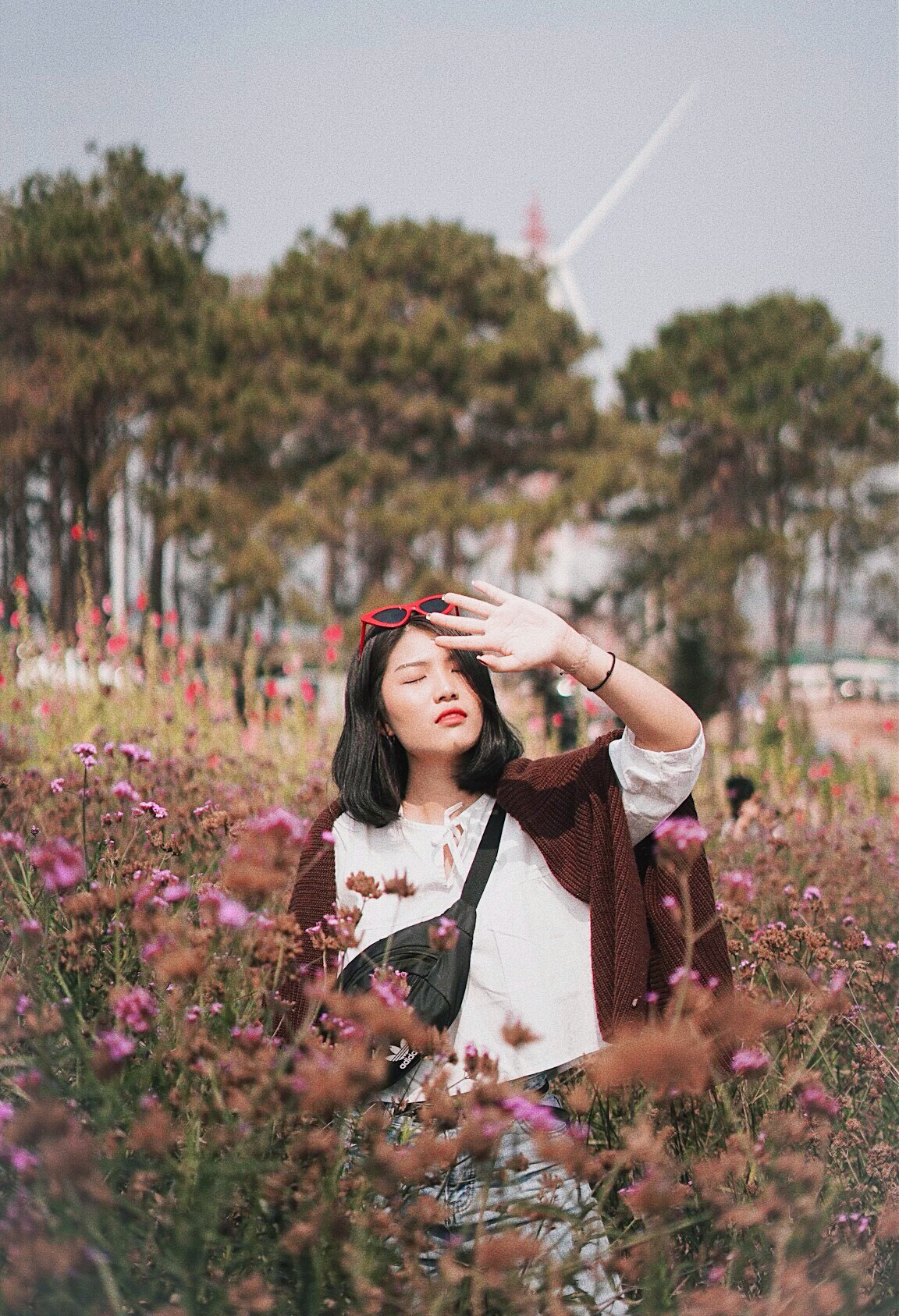 180 all day all season, 180 องศา คาเฟ่, 180' cafe, pino latte resort & cafe, route 12, กาแฟตั๊กม้อ เขาค้อ, จุดชมวิวทะเลหมอก, จุดชมวิวทะเลหมอก อำเภอเขาค้อ, ที่เที่ยว เขาค้อ, ที่เที่ยว เขาค้อ 2020, ที่เที่ยว เขาค้อ 2021, ที่เที่ยว เขาค้อ 2563, ที่เที่ยว เขาค้อ 2564, ที่เที่ยวเขาค้อ, ที่เที่ยวเขาค้อ 2022, ที่เที่ยวเขาค้อ 2565, ทุ่งกังหันลม เขาค้อ, ทุ่งแสลงหลวง, น้ำตกศรีดิษฐ์, พระตำหนักเขาค้อ, พีโน่ ลาเต้, ภูแก้วพีค, ภูแก้วพีค คาเฟ่, วัดพระธาตุผาซ่อนแก้ว, เขาค้อ, เขาค้อ เพชรบูรณ์, เขาตะเคียนโง๊ะ, เที่ยวเขาค้อ, เที่ยวเขาค้อ 2020, เที่ยวเขาค้อ 2021, เที่ยวเขาค้อ 2563, เที่ยวเขาค้อ 2564, โรงเตี๊ยมสุดขอบฟ้า, top 12+ ที่เที่ยวเขาค้อ [กรกฎาคม 2024] แวะเที่ยว เช็คอิน ฟินไปกับธรรมชาติ