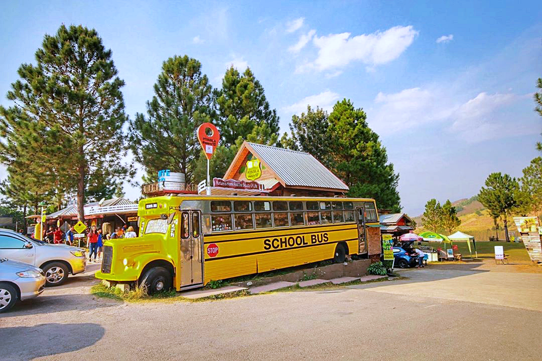 180 all day all season, 180 องศา คาเฟ่, 180' cafe, pino latte resort & cafe, route 12, กาแฟตั๊กม้อ เขาค้อ, จุดชมวิวทะเลหมอก, จุดชมวิวทะเลหมอก อำเภอเขาค้อ, ที่เที่ยว เขาค้อ, ที่เที่ยว เขาค้อ 2020, ที่เที่ยว เขาค้อ 2021, ที่เที่ยว เขาค้อ 2563, ที่เที่ยว เขาค้อ 2564, ที่เที่ยวเขาค้อ, ที่เที่ยวเขาค้อ 2022, ที่เที่ยวเขาค้อ 2565, ทุ่งกังหันลม เขาค้อ, ทุ่งแสลงหลวง, น้ำตกศรีดิษฐ์, พระตำหนักเขาค้อ, พีโน่ ลาเต้, ภูแก้วพีค, ภูแก้วพีค คาเฟ่, วัดพระธาตุผาซ่อนแก้ว, เขาค้อ, เขาค้อ เพชรบูรณ์, เขาตะเคียนโง๊ะ, เที่ยวเขาค้อ, เที่ยวเขาค้อ 2020, เที่ยวเขาค้อ 2021, เที่ยวเขาค้อ 2563, เที่ยวเขาค้อ 2564, โรงเตี๊ยมสุดขอบฟ้า, top 12+ ที่เที่ยวเขาค้อ [กรกฎาคม 2024] แวะเที่ยว เช็คอิน ฟินไปกับธรรมชาติ