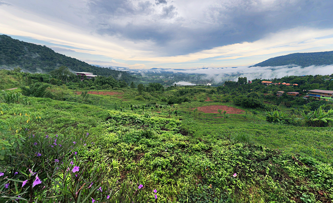 180 all day all season, 180 องศา คาเฟ่, 180' cafe, pino latte resort & cafe, route 12, กาแฟตั๊กม้อ เขาค้อ, จุดชมวิวทะเลหมอก, จุดชมวิวทะเลหมอก อำเภอเขาค้อ, ที่เที่ยว เขาค้อ, ที่เที่ยว เขาค้อ 2020, ที่เที่ยว เขาค้อ 2021, ที่เที่ยว เขาค้อ 2563, ที่เที่ยว เขาค้อ 2564, ที่เที่ยวเขาค้อ, ที่เที่ยวเขาค้อ 2022, ที่เที่ยวเขาค้อ 2565, ทุ่งกังหันลม เขาค้อ, ทุ่งแสลงหลวง, น้ำตกศรีดิษฐ์, พระตำหนักเขาค้อ, พีโน่ ลาเต้, ภูแก้วพีค, ภูแก้วพีค คาเฟ่, วัดพระธาตุผาซ่อนแก้ว, เขาค้อ, เขาค้อ เพชรบูรณ์, เขาตะเคียนโง๊ะ, เที่ยวเขาค้อ, เที่ยวเขาค้อ 2020, เที่ยวเขาค้อ 2021, เที่ยวเขาค้อ 2563, เที่ยวเขาค้อ 2564, โรงเตี๊ยมสุดขอบฟ้า, top 12+ ที่เที่ยวเขาค้อ [กรกฎาคม 2024] แวะเที่ยว เช็คอิน ฟินไปกับธรรมชาติ