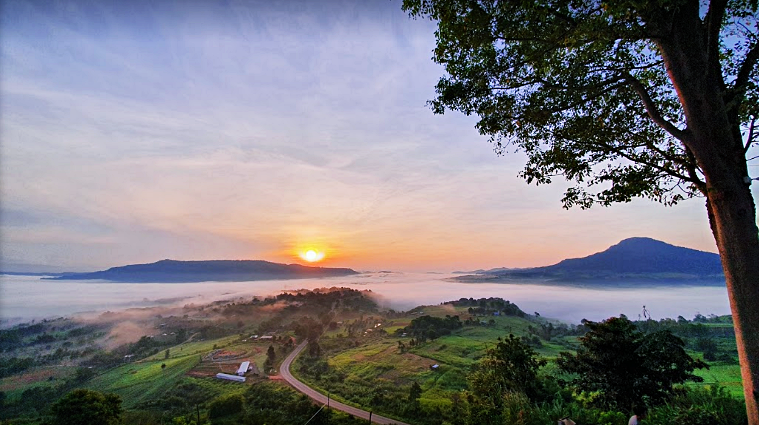 180 all day all season, 180 องศา คาเฟ่, 180' cafe, pino latte resort & cafe, route 12, กาแฟตั๊กม้อ เขาค้อ, จุดชมวิวทะเลหมอก, จุดชมวิวทะเลหมอก อำเภอเขาค้อ, ที่เที่ยว เขาค้อ, ที่เที่ยว เขาค้อ 2020, ที่เที่ยว เขาค้อ 2021, ที่เที่ยว เขาค้อ 2563, ที่เที่ยว เขาค้อ 2564, ที่เที่ยวเขาค้อ, ที่เที่ยวเขาค้อ 2022, ที่เที่ยวเขาค้อ 2565, ทุ่งกังหันลม เขาค้อ, ทุ่งแสลงหลวง, น้ำตกศรีดิษฐ์, พระตำหนักเขาค้อ, พีโน่ ลาเต้, ภูแก้วพีค, ภูแก้วพีค คาเฟ่, วัดพระธาตุผาซ่อนแก้ว, เขาค้อ, เขาค้อ เพชรบูรณ์, เขาตะเคียนโง๊ะ, เที่ยวเขาค้อ, เที่ยวเขาค้อ 2020, เที่ยวเขาค้อ 2021, เที่ยวเขาค้อ 2563, เที่ยวเขาค้อ 2564, โรงเตี๊ยมสุดขอบฟ้า, top 12+ ที่เที่ยวเขาค้อ [กรกฎาคม 2024] แวะเที่ยว เช็คอิน ฟินไปกับธรรมชาติ