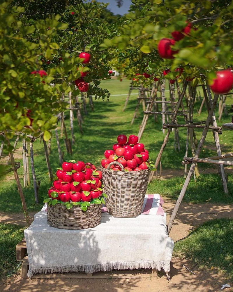 พัทยา, top 11+ คาเฟ่พัทยา 2024 ร้านกาแฟพัทยา เปิดใหม่ ติดทะเล บรรยากาศดี