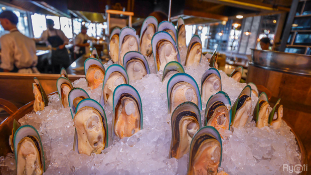 top 7+ ร้านบุฟเฟ่ต์นานาชาติ เมนูสุดหรูหรา ราคาจับต้องได้!