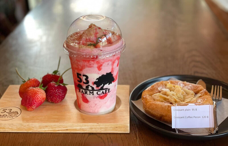 top 9+ คาเฟ่มุกดาหาร 2567 คาเฟ่เปิดใหม่ สวยๆ ริมน้ำโขง กาแฟอร่อย บรรยากาศดี