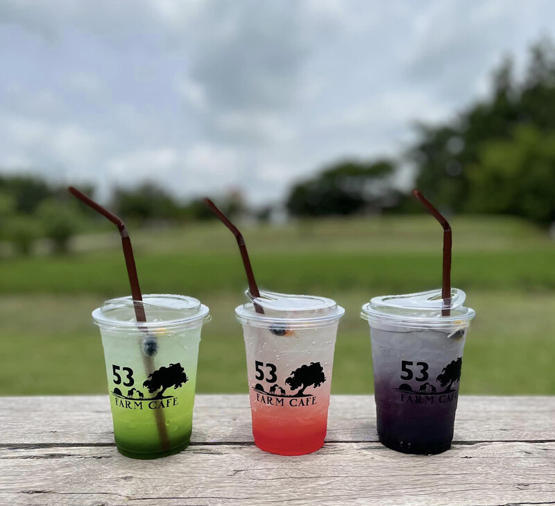 top 9+ คาเฟ่มุกดาหาร 2567 คาเฟ่เปิดใหม่ สวยๆ ริมน้ำโขง กาแฟอร่อย บรรยากาศดี