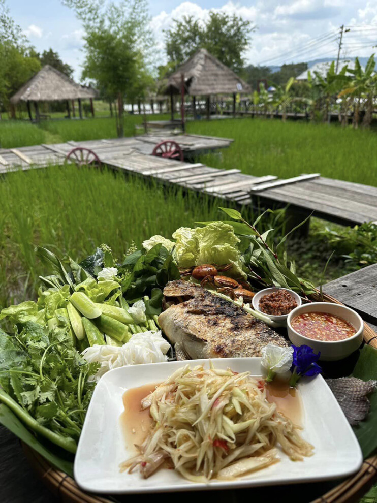 top 9+ คาเฟ่มุกดาหาร 2567 คาเฟ่เปิดใหม่ สวยๆ ริมน้ำโขง กาแฟอร่อย บรรยากาศดี