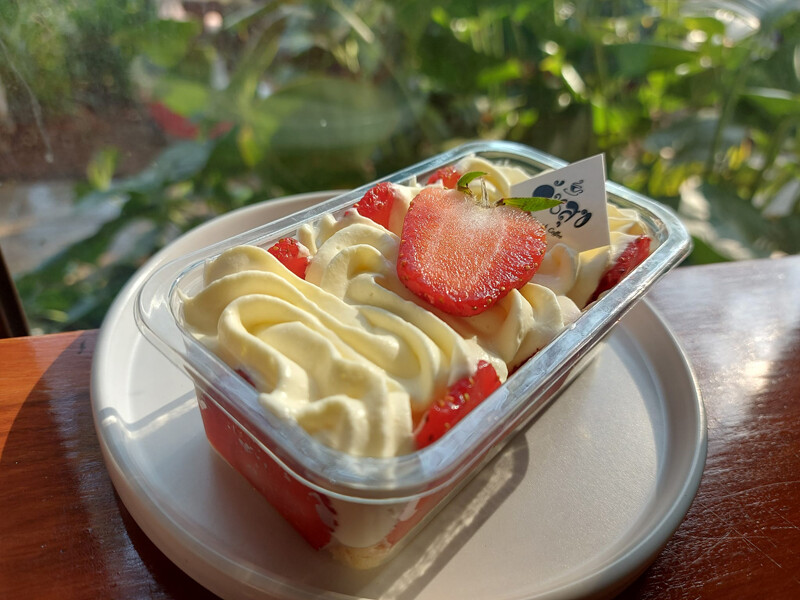 top 9+ คาเฟ่มุกดาหาร 2567 คาเฟ่เปิดใหม่ สวยๆ ริมน้ำโขง กาแฟอร่อย บรรยากาศดี