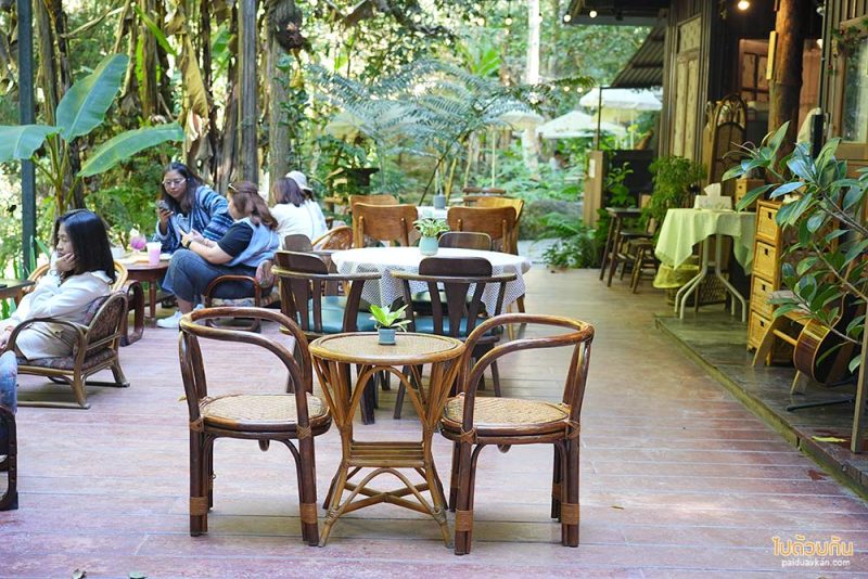 ร้านกาแฟแม่กำปอง, ร้านกาแฟเชียงใหม่, บ้านแม่ลาย, claai cafe, claai cafe’& eatery ร้านกาแฟท่ามกลางป่า ริมลำธาร