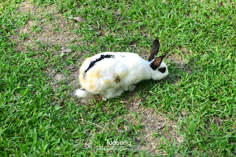 เจ็ดคต -โป่งก้อนเส้า, เจ็ดคต, สระบุรี, เที่ยวสระบุรี, เจ็ดคด โป่งก้อนเส้า ธรรมชาติบำบัด รีเฟรชชีวิตใกล้กรุง