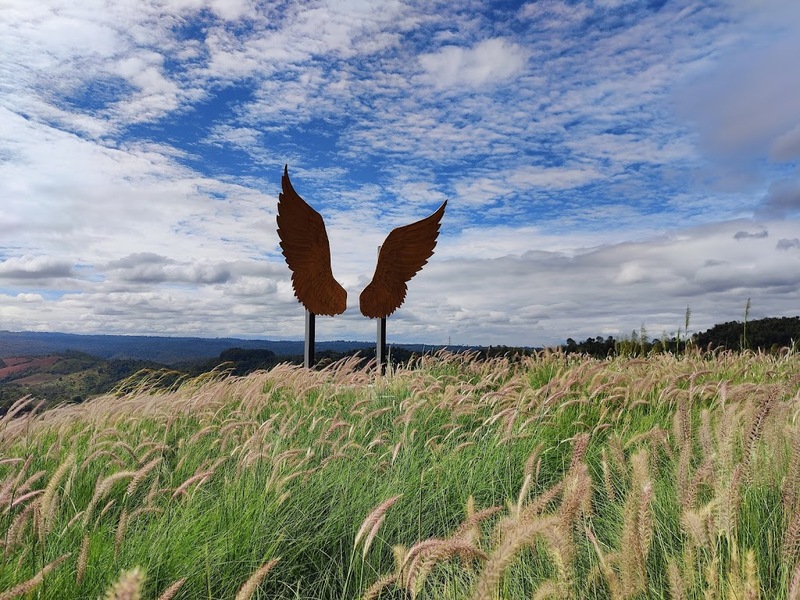 180 all day all season, 180 องศา คาเฟ่, 180' cafe, 180' coffee, artory cafe, cafe khao kho, cedar cafe, cedar ป่าสน cafe, cedar ป่าสน cafe khao kho, cedar ป่าสน cafe เขาค้อ, cedar ป่าสน cafe' at เขาค้อ, coffee love, dragon hill, dragon hill cafe, gino cafe, hydrangea cafe, jolly cafe, jolly cafe khao kho, jolly cafe เขาค้อ, la borne point, liangshan, liangshan coffee khao kho, linda cafe, linda cafe เขาค้อ, morngpar cafe, phukaew peak cafe, pino latte, pino latte restaurant and cafe, ricco slowbar เขาค้อ, story cup, story cup cafe, story cup khao kho, story cup เขาค้อ, takmoh coffee khao kho & โรงเตี๊ยมสุดขอบฟ้า, tanrak, taproot cafe, taproot cafe เขาค้อ, the gm bar & restaurant, the gm bar เขาค้อ, the piney bistro cafe, the pug coffee, the pug coffee lake hill, กาแฟดริป ricco slowbar, กาแฟดริป เขาค้อ, กาแฟตั๊กม้อ เขาค้อ, กาแฟอาราบิกา, คาเฟ่ เพชรบูรณ์, คาเฟ่ ใกล้ฉัน, คาเฟ่.ใหม่เขาค้อ, คาเฟ่ลับเขาค้อ, คาเฟ่เขาค้อ, คาเฟ่เขาค้อ 2024, คาเฟ่เขาค้อ 2567, คาเฟ่ใกล้ฉัน, คาเฟ่ในไร่บีเอ็นฟาร์ม, จีเอ็ม บาร์ เขาค้อ, จุดเช็คอิน คาเฟ่เขาค้อ, ดราก้อน ฮิลล์ คาเฟ่, ดราก้อน ฮิลล์ เขาค้อ, ตั๊กม้อ คอฟฟี่, ทุ่งไฮเดรนเยีย, บนทะเลหมอก & the pug coffee, พีโน่ ลาเต้, พีโน่ ลาเต้ เขาค้อ, ภูแก้วพีค, ภูแก้วพีค คาเฟ่, ภูแก้วพีค เขาค้อ, มองผา คาเฟ่ เขาค้อ, มองผา คาเฟ่ แอนด์ รีสอร์ท, ลาบล็อง พ้อยท์, ลาบล็อง พ้อยท์ เขาค้อ, ลินดา คาเฟ่, สตอรี่ คัฟ เขาค้อ, เขาค้อ, เข้าค่าย cafe’ & cabin, เข้าค่าย café & resort, เข้าค่าย café เขาค้อ, เข้าค่าย คาเฟ่, เข้าค่ายคาเฟ่, เดอะ ไพนี่ บิสโทร คาเฟ่, เหลียงซาน, เหลียงซาน เขาค้อ, แทนรัก กาแฟ, แทนรัก เขาค้อ, แทนรักทะเลหมอก รีสอร์ท, โรงเตี๊ยมสุดขอบฟ้า, ไพนี่ บิสโทร เขาค้อ, ไฮเดรนเยีย คาเฟ่, ไฮเดรนเยีย เขาค้อ, top 20+ คาเฟ่เขาค้อ [กรกฎาคม 2024] วิวสวย บรรยากาศดี ทัศนียภาพงดงาม