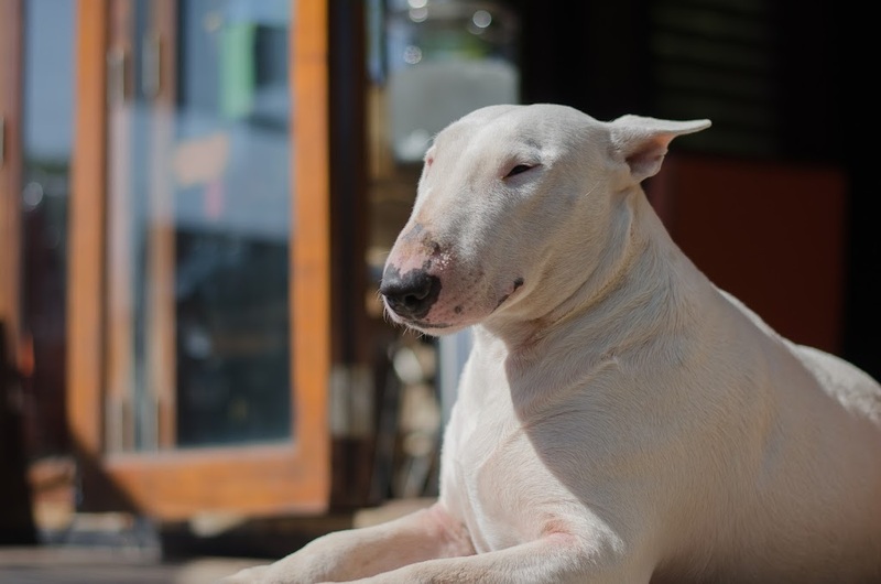 180 all day all season, 180 องศา คาเฟ่, 180' cafe, 180' coffee, artory cafe, cafe khao kho, cedar cafe, cedar ป่าสน cafe, cedar ป่าสน cafe khao kho, cedar ป่าสน cafe เขาค้อ, cedar ป่าสน cafe' at เขาค้อ, coffee love, dragon hill, dragon hill cafe, gino cafe, hydrangea cafe, jolly cafe, jolly cafe khao kho, jolly cafe เขาค้อ, la borne point, liangshan, liangshan coffee khao kho, linda cafe, linda cafe เขาค้อ, morngpar cafe, phukaew peak cafe, pino latte, pino latte restaurant and cafe, ricco slowbar เขาค้อ, story cup, story cup cafe, story cup khao kho, story cup เขาค้อ, takmoh coffee khao kho & โรงเตี๊ยมสุดขอบฟ้า, tanrak, taproot cafe, taproot cafe เขาค้อ, the gm bar & restaurant, the gm bar เขาค้อ, the piney bistro cafe, the pug coffee, the pug coffee lake hill, กาแฟดริป ricco slowbar, กาแฟดริป เขาค้อ, กาแฟตั๊กม้อ เขาค้อ, กาแฟอาราบิกา, คาเฟ่ เพชรบูรณ์, คาเฟ่ ใกล้ฉัน, คาเฟ่.ใหม่เขาค้อ, คาเฟ่ลับเขาค้อ, คาเฟ่เขาค้อ, คาเฟ่เขาค้อ 2024, คาเฟ่เขาค้อ 2567, คาเฟ่ใกล้ฉัน, คาเฟ่ในไร่บีเอ็นฟาร์ม, จีเอ็ม บาร์ เขาค้อ, จุดเช็คอิน คาเฟ่เขาค้อ, ดราก้อน ฮิลล์ คาเฟ่, ดราก้อน ฮิลล์ เขาค้อ, ตั๊กม้อ คอฟฟี่, ทุ่งไฮเดรนเยีย, บนทะเลหมอก & the pug coffee, พีโน่ ลาเต้, พีโน่ ลาเต้ เขาค้อ, ภูแก้วพีค, ภูแก้วพีค คาเฟ่, ภูแก้วพีค เขาค้อ, มองผา คาเฟ่ เขาค้อ, มองผา คาเฟ่ แอนด์ รีสอร์ท, ลาบล็อง พ้อยท์, ลาบล็อง พ้อยท์ เขาค้อ, ลินดา คาเฟ่, สตอรี่ คัฟ เขาค้อ, เขาค้อ, เข้าค่าย cafe’ & cabin, เข้าค่าย café & resort, เข้าค่าย café เขาค้อ, เข้าค่าย คาเฟ่, เข้าค่ายคาเฟ่, เดอะ ไพนี่ บิสโทร คาเฟ่, เหลียงซาน, เหลียงซาน เขาค้อ, แทนรัก กาแฟ, แทนรัก เขาค้อ, แทนรักทะเลหมอก รีสอร์ท, โรงเตี๊ยมสุดขอบฟ้า, ไพนี่ บิสโทร เขาค้อ, ไฮเดรนเยีย คาเฟ่, ไฮเดรนเยีย เขาค้อ, top 20+ คาเฟ่เขาค้อ [กรกฎาคม 2024] วิวสวย บรรยากาศดี ทัศนียภาพงดงาม