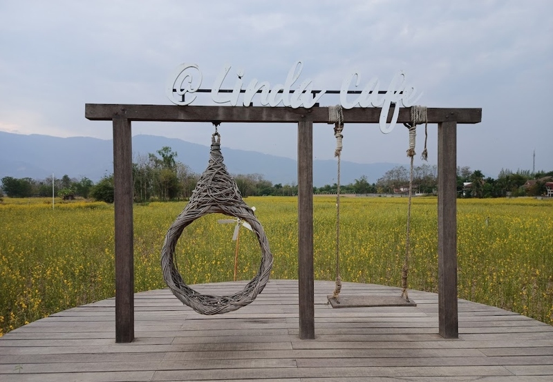 180 all day all season, 180 องศา คาเฟ่, 180' cafe, 180' coffee, artory cafe, cafe khao kho, cedar cafe, cedar ป่าสน cafe, cedar ป่าสน cafe khao kho, cedar ป่าสน cafe เขาค้อ, cedar ป่าสน cafe' at เขาค้อ, coffee love, dragon hill, dragon hill cafe, gino cafe, hydrangea cafe, jolly cafe, jolly cafe khao kho, jolly cafe เขาค้อ, la borne point, liangshan, liangshan coffee khao kho, linda cafe, linda cafe เขาค้อ, morngpar cafe, phukaew peak cafe, pino latte, pino latte restaurant and cafe, ricco slowbar เขาค้อ, story cup, story cup cafe, story cup khao kho, story cup เขาค้อ, takmoh coffee khao kho & โรงเตี๊ยมสุดขอบฟ้า, tanrak, taproot cafe, taproot cafe เขาค้อ, the gm bar & restaurant, the gm bar เขาค้อ, the piney bistro cafe, the pug coffee, the pug coffee lake hill, กาแฟดริป ricco slowbar, กาแฟดริป เขาค้อ, กาแฟตั๊กม้อ เขาค้อ, กาแฟอาราบิกา, คาเฟ่ เพชรบูรณ์, คาเฟ่ ใกล้ฉัน, คาเฟ่.ใหม่เขาค้อ, คาเฟ่ลับเขาค้อ, คาเฟ่เขาค้อ, คาเฟ่เขาค้อ 2024, คาเฟ่เขาค้อ 2567, คาเฟ่ใกล้ฉัน, คาเฟ่ในไร่บีเอ็นฟาร์ม, จีเอ็ม บาร์ เขาค้อ, จุดเช็คอิน คาเฟ่เขาค้อ, ดราก้อน ฮิลล์ คาเฟ่, ดราก้อน ฮิลล์ เขาค้อ, ตั๊กม้อ คอฟฟี่, ทุ่งไฮเดรนเยีย, บนทะเลหมอก & the pug coffee, พีโน่ ลาเต้, พีโน่ ลาเต้ เขาค้อ, ภูแก้วพีค, ภูแก้วพีค คาเฟ่, ภูแก้วพีค เขาค้อ, มองผา คาเฟ่ เขาค้อ, มองผา คาเฟ่ แอนด์ รีสอร์ท, ลาบล็อง พ้อยท์, ลาบล็อง พ้อยท์ เขาค้อ, ลินดา คาเฟ่, สตอรี่ คัฟ เขาค้อ, เขาค้อ, เข้าค่าย cafe’ & cabin, เข้าค่าย café & resort, เข้าค่าย café เขาค้อ, เข้าค่าย คาเฟ่, เข้าค่ายคาเฟ่, เดอะ ไพนี่ บิสโทร คาเฟ่, เหลียงซาน, เหลียงซาน เขาค้อ, แทนรัก กาแฟ, แทนรัก เขาค้อ, แทนรักทะเลหมอก รีสอร์ท, โรงเตี๊ยมสุดขอบฟ้า, ไพนี่ บิสโทร เขาค้อ, ไฮเดรนเยีย คาเฟ่, ไฮเดรนเยีย เขาค้อ, top 20+ คาเฟ่เขาค้อ [กรกฎาคม 2024] วิวสวย บรรยากาศดี ทัศนียภาพงดงาม