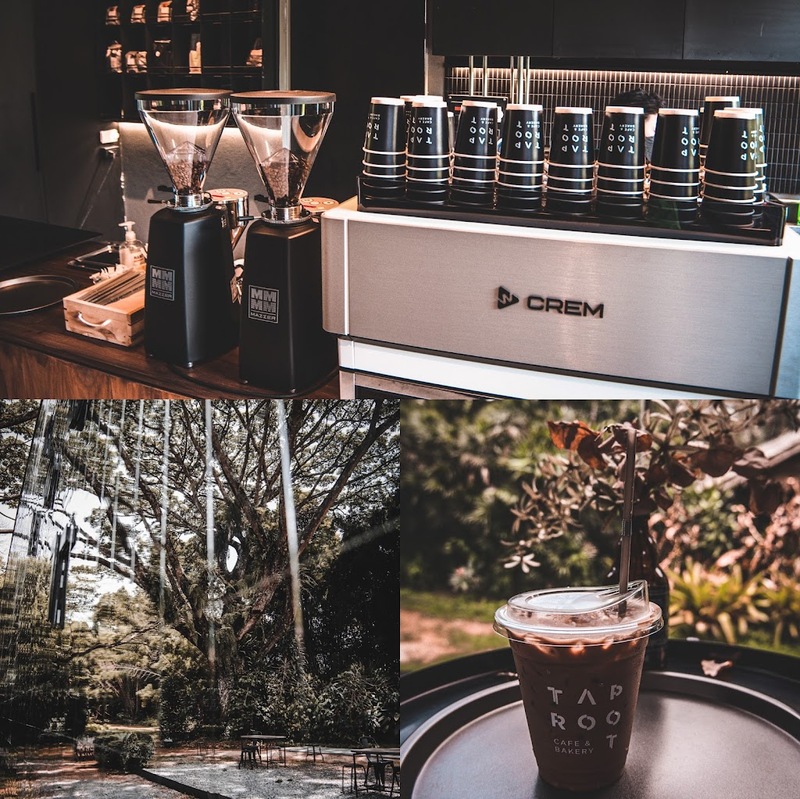 180 all day all season, 180 องศา คาเฟ่, 180' cafe, 180' coffee, artory cafe, cafe khao kho, cedar cafe, cedar ป่าสน cafe, cedar ป่าสน cafe khao kho, cedar ป่าสน cafe เขาค้อ, cedar ป่าสน cafe' at เขาค้อ, coffee love, dragon hill, dragon hill cafe, gino cafe, hydrangea cafe, jolly cafe, jolly cafe khao kho, jolly cafe เขาค้อ, la borne point, liangshan, liangshan coffee khao kho, linda cafe, linda cafe เขาค้อ, morngpar cafe, phukaew peak cafe, pino latte, pino latte restaurant and cafe, ricco slowbar เขาค้อ, story cup, story cup cafe, story cup khao kho, story cup เขาค้อ, takmoh coffee khao kho & โรงเตี๊ยมสุดขอบฟ้า, tanrak, taproot cafe, taproot cafe เขาค้อ, the gm bar & restaurant, the gm bar เขาค้อ, the piney bistro cafe, the pug coffee, the pug coffee lake hill, กาแฟดริป ricco slowbar, กาแฟดริป เขาค้อ, กาแฟตั๊กม้อ เขาค้อ, กาแฟอาราบิกา, คาเฟ่ เพชรบูรณ์, คาเฟ่ ใกล้ฉัน, คาเฟ่.ใหม่เขาค้อ, คาเฟ่ลับเขาค้อ, คาเฟ่เขาค้อ, คาเฟ่เขาค้อ 2024, คาเฟ่เขาค้อ 2567, คาเฟ่ใกล้ฉัน, คาเฟ่ในไร่บีเอ็นฟาร์ม, จีเอ็ม บาร์ เขาค้อ, จุดเช็คอิน คาเฟ่เขาค้อ, ดราก้อน ฮิลล์ คาเฟ่, ดราก้อน ฮิลล์ เขาค้อ, ตั๊กม้อ คอฟฟี่, ทุ่งไฮเดรนเยีย, บนทะเลหมอก & the pug coffee, พีโน่ ลาเต้, พีโน่ ลาเต้ เขาค้อ, ภูแก้วพีค, ภูแก้วพีค คาเฟ่, ภูแก้วพีค เขาค้อ, มองผา คาเฟ่ เขาค้อ, มองผา คาเฟ่ แอนด์ รีสอร์ท, ลาบล็อง พ้อยท์, ลาบล็อง พ้อยท์ เขาค้อ, ลินดา คาเฟ่, สตอรี่ คัฟ เขาค้อ, เขาค้อ, เข้าค่าย cafe’ & cabin, เข้าค่าย café & resort, เข้าค่าย café เขาค้อ, เข้าค่าย คาเฟ่, เข้าค่ายคาเฟ่, เดอะ ไพนี่ บิสโทร คาเฟ่, เหลียงซาน, เหลียงซาน เขาค้อ, แทนรัก กาแฟ, แทนรัก เขาค้อ, แทนรักทะเลหมอก รีสอร์ท, โรงเตี๊ยมสุดขอบฟ้า, ไพนี่ บิสโทร เขาค้อ, ไฮเดรนเยีย คาเฟ่, ไฮเดรนเยีย เขาค้อ, top 20+ คาเฟ่เขาค้อ [กรกฎาคม 2024] วิวสวย บรรยากาศดี ทัศนียภาพงดงาม