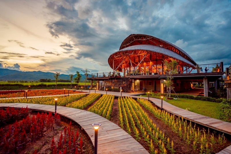 180 all day all season, 180 องศา คาเฟ่, 180' cafe, 180' coffee, artory cafe, cafe khao kho, cedar cafe, cedar ป่าสน cafe, cedar ป่าสน cafe khao kho, cedar ป่าสน cafe เขาค้อ, cedar ป่าสน cafe' at เขาค้อ, coffee love, dragon hill, dragon hill cafe, gino cafe, hydrangea cafe, jolly cafe, jolly cafe khao kho, jolly cafe เขาค้อ, la borne point, liangshan, liangshan coffee khao kho, linda cafe, linda cafe เขาค้อ, morngpar cafe, phukaew peak cafe, pino latte, pino latte restaurant and cafe, ricco slowbar เขาค้อ, story cup, story cup cafe, story cup khao kho, story cup เขาค้อ, takmoh coffee khao kho & โรงเตี๊ยมสุดขอบฟ้า, tanrak, taproot cafe, taproot cafe เขาค้อ, the gm bar & restaurant, the gm bar เขาค้อ, the piney bistro cafe, the pug coffee, the pug coffee lake hill, กาแฟดริป ricco slowbar, กาแฟดริป เขาค้อ, กาแฟตั๊กม้อ เขาค้อ, กาแฟอาราบิกา, คาเฟ่ เพชรบูรณ์, คาเฟ่ ใกล้ฉัน, คาเฟ่.ใหม่เขาค้อ, คาเฟ่ลับเขาค้อ, คาเฟ่เขาค้อ, คาเฟ่เขาค้อ 2024, คาเฟ่เขาค้อ 2567, คาเฟ่ใกล้ฉัน, คาเฟ่ในไร่บีเอ็นฟาร์ม, จีเอ็ม บาร์ เขาค้อ, จุดเช็คอิน คาเฟ่เขาค้อ, ดราก้อน ฮิลล์ คาเฟ่, ดราก้อน ฮิลล์ เขาค้อ, ตั๊กม้อ คอฟฟี่, ทุ่งไฮเดรนเยีย, บนทะเลหมอก & the pug coffee, พีโน่ ลาเต้, พีโน่ ลาเต้ เขาค้อ, ภูแก้วพีค, ภูแก้วพีค คาเฟ่, ภูแก้วพีค เขาค้อ, มองผา คาเฟ่ เขาค้อ, มองผา คาเฟ่ แอนด์ รีสอร์ท, ลาบล็อง พ้อยท์, ลาบล็อง พ้อยท์ เขาค้อ, ลินดา คาเฟ่, สตอรี่ คัฟ เขาค้อ, เขาค้อ, เข้าค่าย cafe’ & cabin, เข้าค่าย café & resort, เข้าค่าย café เขาค้อ, เข้าค่าย คาเฟ่, เข้าค่ายคาเฟ่, เดอะ ไพนี่ บิสโทร คาเฟ่, เหลียงซาน, เหลียงซาน เขาค้อ, แทนรัก กาแฟ, แทนรัก เขาค้อ, แทนรักทะเลหมอก รีสอร์ท, โรงเตี๊ยมสุดขอบฟ้า, ไพนี่ บิสโทร เขาค้อ, ไฮเดรนเยีย คาเฟ่, ไฮเดรนเยีย เขาค้อ, top 20+ คาเฟ่เขาค้อ [กรกฎาคม 2024] วิวสวย บรรยากาศดี ทัศนียภาพงดงาม