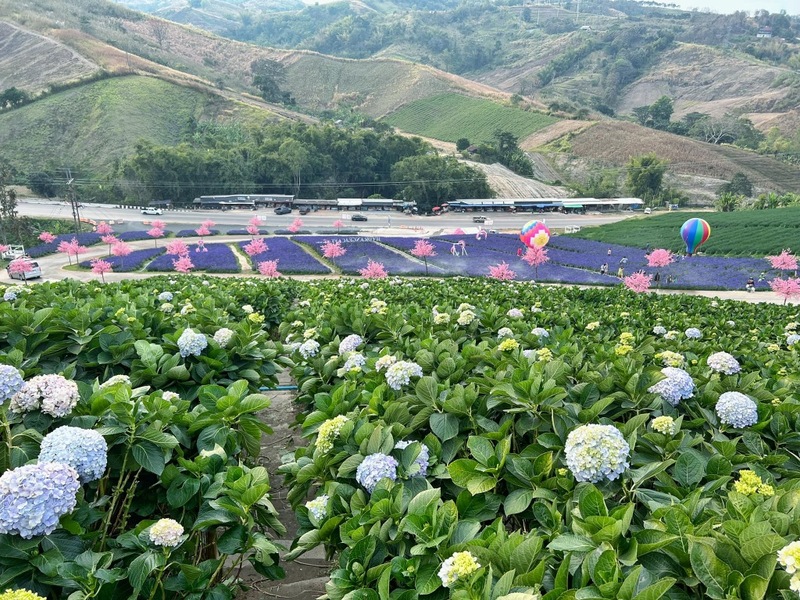 180 all day all season, 180 องศา คาเฟ่, 180' cafe, 180' coffee, artory cafe, cafe khao kho, cedar cafe, cedar ป่าสน cafe, cedar ป่าสน cafe khao kho, cedar ป่าสน cafe เขาค้อ, cedar ป่าสน cafe' at เขาค้อ, coffee love, dragon hill, dragon hill cafe, gino cafe, hydrangea cafe, jolly cafe, jolly cafe khao kho, jolly cafe เขาค้อ, la borne point, liangshan, liangshan coffee khao kho, linda cafe, linda cafe เขาค้อ, morngpar cafe, phukaew peak cafe, pino latte, pino latte restaurant and cafe, ricco slowbar เขาค้อ, story cup, story cup cafe, story cup khao kho, story cup เขาค้อ, takmoh coffee khao kho & โรงเตี๊ยมสุดขอบฟ้า, tanrak, taproot cafe, taproot cafe เขาค้อ, the gm bar & restaurant, the gm bar เขาค้อ, the piney bistro cafe, the pug coffee, the pug coffee lake hill, กาแฟดริป ricco slowbar, กาแฟดริป เขาค้อ, กาแฟตั๊กม้อ เขาค้อ, กาแฟอาราบิกา, คาเฟ่ เพชรบูรณ์, คาเฟ่ ใกล้ฉัน, คาเฟ่.ใหม่เขาค้อ, คาเฟ่ลับเขาค้อ, คาเฟ่เขาค้อ, คาเฟ่เขาค้อ 2024, คาเฟ่เขาค้อ 2567, คาเฟ่ใกล้ฉัน, คาเฟ่ในไร่บีเอ็นฟาร์ม, จีเอ็ม บาร์ เขาค้อ, จุดเช็คอิน คาเฟ่เขาค้อ, ดราก้อน ฮิลล์ คาเฟ่, ดราก้อน ฮิลล์ เขาค้อ, ตั๊กม้อ คอฟฟี่, ทุ่งไฮเดรนเยีย, บนทะเลหมอก & the pug coffee, พีโน่ ลาเต้, พีโน่ ลาเต้ เขาค้อ, ภูแก้วพีค, ภูแก้วพีค คาเฟ่, ภูแก้วพีค เขาค้อ, มองผา คาเฟ่ เขาค้อ, มองผา คาเฟ่ แอนด์ รีสอร์ท, ลาบล็อง พ้อยท์, ลาบล็อง พ้อยท์ เขาค้อ, ลินดา คาเฟ่, สตอรี่ คัฟ เขาค้อ, เขาค้อ, เข้าค่าย cafe’ & cabin, เข้าค่าย café & resort, เข้าค่าย café เขาค้อ, เข้าค่าย คาเฟ่, เข้าค่ายคาเฟ่, เดอะ ไพนี่ บิสโทร คาเฟ่, เหลียงซาน, เหลียงซาน เขาค้อ, แทนรัก กาแฟ, แทนรัก เขาค้อ, แทนรักทะเลหมอก รีสอร์ท, โรงเตี๊ยมสุดขอบฟ้า, ไพนี่ บิสโทร เขาค้อ, ไฮเดรนเยีย คาเฟ่, ไฮเดรนเยีย เขาค้อ, top 20+ คาเฟ่เขาค้อ [กรกฎาคม 2024] วิวสวย บรรยากาศดี ทัศนียภาพงดงาม