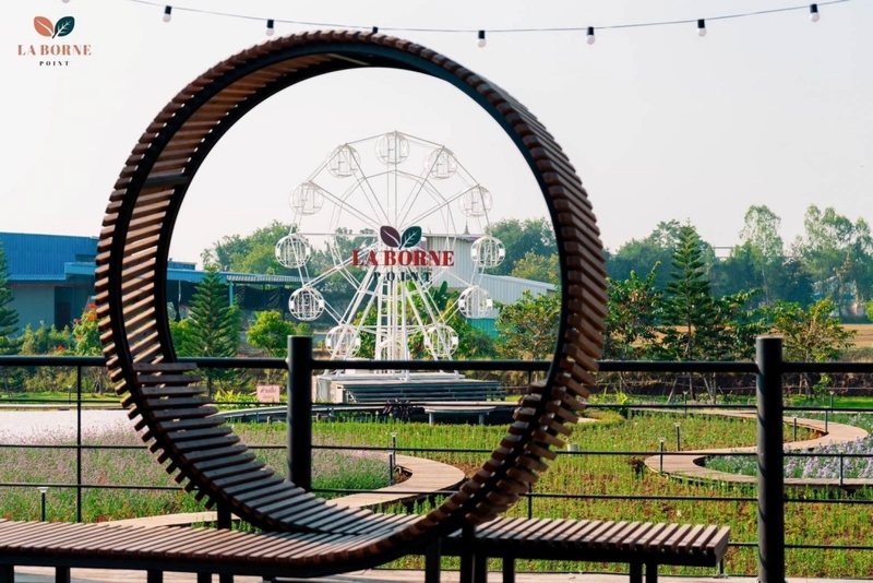 180 all day all season, 180 องศา คาเฟ่, 180' cafe, 180' coffee, artory cafe, cafe khao kho, cedar cafe, cedar ป่าสน cafe, cedar ป่าสน cafe khao kho, cedar ป่าสน cafe เขาค้อ, cedar ป่าสน cafe' at เขาค้อ, coffee love, dragon hill, dragon hill cafe, gino cafe, hydrangea cafe, jolly cafe, jolly cafe khao kho, jolly cafe เขาค้อ, la borne point, liangshan, liangshan coffee khao kho, linda cafe, linda cafe เขาค้อ, morngpar cafe, phukaew peak cafe, pino latte, pino latte restaurant and cafe, ricco slowbar เขาค้อ, story cup, story cup cafe, story cup khao kho, story cup เขาค้อ, takmoh coffee khao kho & โรงเตี๊ยมสุดขอบฟ้า, tanrak, taproot cafe, taproot cafe เขาค้อ, the gm bar & restaurant, the gm bar เขาค้อ, the piney bistro cafe, the pug coffee, the pug coffee lake hill, กาแฟดริป ricco slowbar, กาแฟดริป เขาค้อ, กาแฟตั๊กม้อ เขาค้อ, กาแฟอาราบิกา, คาเฟ่ เพชรบูรณ์, คาเฟ่ ใกล้ฉัน, คาเฟ่.ใหม่เขาค้อ, คาเฟ่ลับเขาค้อ, คาเฟ่เขาค้อ, คาเฟ่เขาค้อ 2024, คาเฟ่เขาค้อ 2567, คาเฟ่ใกล้ฉัน, คาเฟ่ในไร่บีเอ็นฟาร์ม, จีเอ็ม บาร์ เขาค้อ, จุดเช็คอิน คาเฟ่เขาค้อ, ดราก้อน ฮิลล์ คาเฟ่, ดราก้อน ฮิลล์ เขาค้อ, ตั๊กม้อ คอฟฟี่, ทุ่งไฮเดรนเยีย, บนทะเลหมอก & the pug coffee, พีโน่ ลาเต้, พีโน่ ลาเต้ เขาค้อ, ภูแก้วพีค, ภูแก้วพีค คาเฟ่, ภูแก้วพีค เขาค้อ, มองผา คาเฟ่ เขาค้อ, มองผา คาเฟ่ แอนด์ รีสอร์ท, ลาบล็อง พ้อยท์, ลาบล็อง พ้อยท์ เขาค้อ, ลินดา คาเฟ่, สตอรี่ คัฟ เขาค้อ, เขาค้อ, เข้าค่าย cafe’ & cabin, เข้าค่าย café & resort, เข้าค่าย café เขาค้อ, เข้าค่าย คาเฟ่, เข้าค่ายคาเฟ่, เดอะ ไพนี่ บิสโทร คาเฟ่, เหลียงซาน, เหลียงซาน เขาค้อ, แทนรัก กาแฟ, แทนรัก เขาค้อ, แทนรักทะเลหมอก รีสอร์ท, โรงเตี๊ยมสุดขอบฟ้า, ไพนี่ บิสโทร เขาค้อ, ไฮเดรนเยีย คาเฟ่, ไฮเดรนเยีย เขาค้อ, top 20+ คาเฟ่เขาค้อ [กรกฎาคม 2024] วิวสวย บรรยากาศดี ทัศนียภาพงดงาม