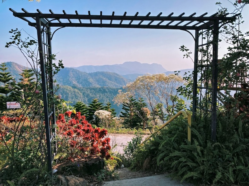 180 all day all season, 180 องศา คาเฟ่, 180' cafe, 180' coffee, artory cafe, cafe khao kho, cedar cafe, cedar ป่าสน cafe, cedar ป่าสน cafe khao kho, cedar ป่าสน cafe เขาค้อ, cedar ป่าสน cafe' at เขาค้อ, coffee love, dragon hill, dragon hill cafe, gino cafe, hydrangea cafe, jolly cafe, jolly cafe khao kho, jolly cafe เขาค้อ, la borne point, liangshan, liangshan coffee khao kho, linda cafe, linda cafe เขาค้อ, morngpar cafe, phukaew peak cafe, pino latte, pino latte restaurant and cafe, ricco slowbar เขาค้อ, story cup, story cup cafe, story cup khao kho, story cup เขาค้อ, takmoh coffee khao kho & โรงเตี๊ยมสุดขอบฟ้า, tanrak, taproot cafe, taproot cafe เขาค้อ, the gm bar & restaurant, the gm bar เขาค้อ, the piney bistro cafe, the pug coffee, the pug coffee lake hill, กาแฟดริป ricco slowbar, กาแฟดริป เขาค้อ, กาแฟตั๊กม้อ เขาค้อ, กาแฟอาราบิกา, คาเฟ่ เพชรบูรณ์, คาเฟ่ ใกล้ฉัน, คาเฟ่.ใหม่เขาค้อ, คาเฟ่ลับเขาค้อ, คาเฟ่เขาค้อ, คาเฟ่เขาค้อ 2024, คาเฟ่เขาค้อ 2567, คาเฟ่ใกล้ฉัน, คาเฟ่ในไร่บีเอ็นฟาร์ม, จีเอ็ม บาร์ เขาค้อ, จุดเช็คอิน คาเฟ่เขาค้อ, ดราก้อน ฮิลล์ คาเฟ่, ดราก้อน ฮิลล์ เขาค้อ, ตั๊กม้อ คอฟฟี่, ทุ่งไฮเดรนเยีย, บนทะเลหมอก & the pug coffee, พีโน่ ลาเต้, พีโน่ ลาเต้ เขาค้อ, ภูแก้วพีค, ภูแก้วพีค คาเฟ่, ภูแก้วพีค เขาค้อ, มองผา คาเฟ่ เขาค้อ, มองผา คาเฟ่ แอนด์ รีสอร์ท, ลาบล็อง พ้อยท์, ลาบล็อง พ้อยท์ เขาค้อ, ลินดา คาเฟ่, สตอรี่ คัฟ เขาค้อ, เขาค้อ, เข้าค่าย cafe’ & cabin, เข้าค่าย café & resort, เข้าค่าย café เขาค้อ, เข้าค่าย คาเฟ่, เข้าค่ายคาเฟ่, เดอะ ไพนี่ บิสโทร คาเฟ่, เหลียงซาน, เหลียงซาน เขาค้อ, แทนรัก กาแฟ, แทนรัก เขาค้อ, แทนรักทะเลหมอก รีสอร์ท, โรงเตี๊ยมสุดขอบฟ้า, ไพนี่ บิสโทร เขาค้อ, ไฮเดรนเยีย คาเฟ่, ไฮเดรนเยีย เขาค้อ, top 20+ คาเฟ่เขาค้อ [กรกฎาคม 2024] วิวสวย บรรยากาศดี ทัศนียภาพงดงาม