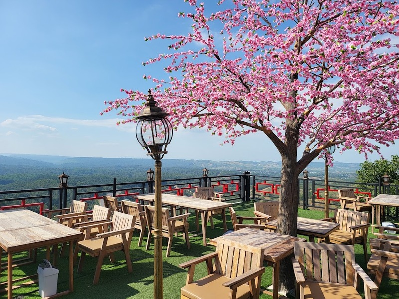 180 all day all season, 180 องศา คาเฟ่, 180' cafe, 180' coffee, artory cafe, cafe khao kho, cedar cafe, cedar ป่าสน cafe, cedar ป่าสน cafe khao kho, cedar ป่าสน cafe เขาค้อ, cedar ป่าสน cafe' at เขาค้อ, coffee love, dragon hill, dragon hill cafe, gino cafe, hydrangea cafe, jolly cafe, jolly cafe khao kho, jolly cafe เขาค้อ, la borne point, liangshan, liangshan coffee khao kho, linda cafe, linda cafe เขาค้อ, morngpar cafe, phukaew peak cafe, pino latte, pino latte restaurant and cafe, ricco slowbar เขาค้อ, story cup, story cup cafe, story cup khao kho, story cup เขาค้อ, takmoh coffee khao kho & โรงเตี๊ยมสุดขอบฟ้า, tanrak, taproot cafe, taproot cafe เขาค้อ, the gm bar & restaurant, the gm bar เขาค้อ, the piney bistro cafe, the pug coffee, the pug coffee lake hill, กาแฟดริป ricco slowbar, กาแฟดริป เขาค้อ, กาแฟตั๊กม้อ เขาค้อ, กาแฟอาราบิกา, คาเฟ่ เพชรบูรณ์, คาเฟ่ ใกล้ฉัน, คาเฟ่.ใหม่เขาค้อ, คาเฟ่ลับเขาค้อ, คาเฟ่เขาค้อ, คาเฟ่เขาค้อ 2024, คาเฟ่เขาค้อ 2567, คาเฟ่ใกล้ฉัน, คาเฟ่ในไร่บีเอ็นฟาร์ม, จีเอ็ม บาร์ เขาค้อ, จุดเช็คอิน คาเฟ่เขาค้อ, ดราก้อน ฮิลล์ คาเฟ่, ดราก้อน ฮิลล์ เขาค้อ, ตั๊กม้อ คอฟฟี่, ทุ่งไฮเดรนเยีย, บนทะเลหมอก & the pug coffee, พีโน่ ลาเต้, พีโน่ ลาเต้ เขาค้อ, ภูแก้วพีค, ภูแก้วพีค คาเฟ่, ภูแก้วพีค เขาค้อ, มองผา คาเฟ่ เขาค้อ, มองผา คาเฟ่ แอนด์ รีสอร์ท, ลาบล็อง พ้อยท์, ลาบล็อง พ้อยท์ เขาค้อ, ลินดา คาเฟ่, สตอรี่ คัฟ เขาค้อ, เขาค้อ, เข้าค่าย cafe’ & cabin, เข้าค่าย café & resort, เข้าค่าย café เขาค้อ, เข้าค่าย คาเฟ่, เข้าค่ายคาเฟ่, เดอะ ไพนี่ บิสโทร คาเฟ่, เหลียงซาน, เหลียงซาน เขาค้อ, แทนรัก กาแฟ, แทนรัก เขาค้อ, แทนรักทะเลหมอก รีสอร์ท, โรงเตี๊ยมสุดขอบฟ้า, ไพนี่ บิสโทร เขาค้อ, ไฮเดรนเยีย คาเฟ่, ไฮเดรนเยีย เขาค้อ, top 20+ คาเฟ่เขาค้อ [กรกฎาคม 2024] วิวสวย บรรยากาศดี ทัศนียภาพงดงาม