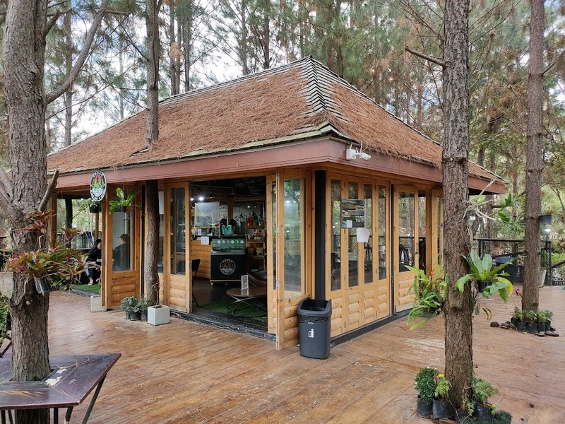 180 all day all season, 180 องศา คาเฟ่, 180' cafe, 180' coffee, artory cafe, cafe khao kho, cedar cafe, cedar ป่าสน cafe, cedar ป่าสน cafe khao kho, cedar ป่าสน cafe เขาค้อ, cedar ป่าสน cafe' at เขาค้อ, coffee love, dragon hill, dragon hill cafe, gino cafe, hydrangea cafe, jolly cafe, jolly cafe khao kho, jolly cafe เขาค้อ, la borne point, liangshan, liangshan coffee khao kho, linda cafe, linda cafe เขาค้อ, morngpar cafe, phukaew peak cafe, pino latte, pino latte restaurant and cafe, ricco slowbar เขาค้อ, story cup, story cup cafe, story cup khao kho, story cup เขาค้อ, takmoh coffee khao kho & โรงเตี๊ยมสุดขอบฟ้า, tanrak, taproot cafe, taproot cafe เขาค้อ, the gm bar & restaurant, the gm bar เขาค้อ, the piney bistro cafe, the pug coffee, the pug coffee lake hill, กาแฟดริป ricco slowbar, กาแฟดริป เขาค้อ, กาแฟตั๊กม้อ เขาค้อ, กาแฟอาราบิกา, คาเฟ่ เพชรบูรณ์, คาเฟ่ ใกล้ฉัน, คาเฟ่.ใหม่เขาค้อ, คาเฟ่ลับเขาค้อ, คาเฟ่เขาค้อ, คาเฟ่เขาค้อ 2024, คาเฟ่เขาค้อ 2567, คาเฟ่ใกล้ฉัน, คาเฟ่ในไร่บีเอ็นฟาร์ม, จีเอ็ม บาร์ เขาค้อ, จุดเช็คอิน คาเฟ่เขาค้อ, ดราก้อน ฮิลล์ คาเฟ่, ดราก้อน ฮิลล์ เขาค้อ, ตั๊กม้อ คอฟฟี่, ทุ่งไฮเดรนเยีย, บนทะเลหมอก & the pug coffee, พีโน่ ลาเต้, พีโน่ ลาเต้ เขาค้อ, ภูแก้วพีค, ภูแก้วพีค คาเฟ่, ภูแก้วพีค เขาค้อ, มองผา คาเฟ่ เขาค้อ, มองผา คาเฟ่ แอนด์ รีสอร์ท, ลาบล็อง พ้อยท์, ลาบล็อง พ้อยท์ เขาค้อ, ลินดา คาเฟ่, สตอรี่ คัฟ เขาค้อ, เขาค้อ, เข้าค่าย cafe’ & cabin, เข้าค่าย café & resort, เข้าค่าย café เขาค้อ, เข้าค่าย คาเฟ่, เข้าค่ายคาเฟ่, เดอะ ไพนี่ บิสโทร คาเฟ่, เหลียงซาน, เหลียงซาน เขาค้อ, แทนรัก กาแฟ, แทนรัก เขาค้อ, แทนรักทะเลหมอก รีสอร์ท, โรงเตี๊ยมสุดขอบฟ้า, ไพนี่ บิสโทร เขาค้อ, ไฮเดรนเยีย คาเฟ่, ไฮเดรนเยีย เขาค้อ, top 20+ คาเฟ่เขาค้อ [กรกฎาคม 2024] วิวสวย บรรยากาศดี ทัศนียภาพงดงาม