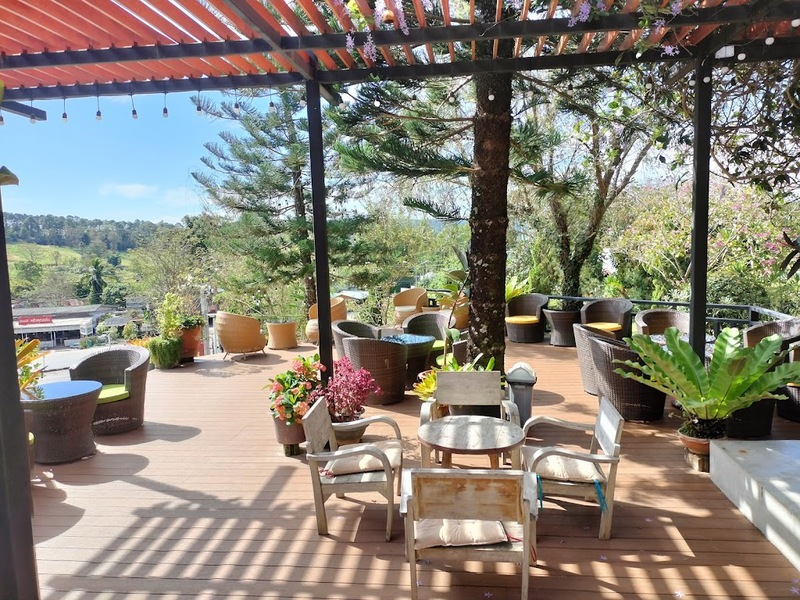 180 all day all season, 180 องศา คาเฟ่, 180' cafe, 180' coffee, artory cafe, cafe khao kho, cedar cafe, cedar ป่าสน cafe, cedar ป่าสน cafe khao kho, cedar ป่าสน cafe เขาค้อ, cedar ป่าสน cafe' at เขาค้อ, coffee love, dragon hill, dragon hill cafe, gino cafe, hydrangea cafe, jolly cafe, jolly cafe khao kho, jolly cafe เขาค้อ, la borne point, liangshan, liangshan coffee khao kho, linda cafe, linda cafe เขาค้อ, morngpar cafe, phukaew peak cafe, pino latte, pino latte restaurant and cafe, ricco slowbar เขาค้อ, story cup, story cup cafe, story cup khao kho, story cup เขาค้อ, takmoh coffee khao kho & โรงเตี๊ยมสุดขอบฟ้า, tanrak, taproot cafe, taproot cafe เขาค้อ, the gm bar & restaurant, the gm bar เขาค้อ, the piney bistro cafe, the pug coffee, the pug coffee lake hill, กาแฟดริป ricco slowbar, กาแฟดริป เขาค้อ, กาแฟตั๊กม้อ เขาค้อ, กาแฟอาราบิกา, คาเฟ่ เพชรบูรณ์, คาเฟ่ ใกล้ฉัน, คาเฟ่.ใหม่เขาค้อ, คาเฟ่ลับเขาค้อ, คาเฟ่เขาค้อ, คาเฟ่เขาค้อ 2024, คาเฟ่เขาค้อ 2567, คาเฟ่ใกล้ฉัน, คาเฟ่ในไร่บีเอ็นฟาร์ม, จีเอ็ม บาร์ เขาค้อ, จุดเช็คอิน คาเฟ่เขาค้อ, ดราก้อน ฮิลล์ คาเฟ่, ดราก้อน ฮิลล์ เขาค้อ, ตั๊กม้อ คอฟฟี่, ทุ่งไฮเดรนเยีย, บนทะเลหมอก & the pug coffee, พีโน่ ลาเต้, พีโน่ ลาเต้ เขาค้อ, ภูแก้วพีค, ภูแก้วพีค คาเฟ่, ภูแก้วพีค เขาค้อ, มองผา คาเฟ่ เขาค้อ, มองผา คาเฟ่ แอนด์ รีสอร์ท, ลาบล็อง พ้อยท์, ลาบล็อง พ้อยท์ เขาค้อ, ลินดา คาเฟ่, สตอรี่ คัฟ เขาค้อ, เขาค้อ, เข้าค่าย cafe’ & cabin, เข้าค่าย café & resort, เข้าค่าย café เขาค้อ, เข้าค่าย คาเฟ่, เข้าค่ายคาเฟ่, เดอะ ไพนี่ บิสโทร คาเฟ่, เหลียงซาน, เหลียงซาน เขาค้อ, แทนรัก กาแฟ, แทนรัก เขาค้อ, แทนรักทะเลหมอก รีสอร์ท, โรงเตี๊ยมสุดขอบฟ้า, ไพนี่ บิสโทร เขาค้อ, ไฮเดรนเยีย คาเฟ่, ไฮเดรนเยีย เขาค้อ, top 20+ คาเฟ่เขาค้อ [กรกฎาคม 2024] วิวสวย บรรยากาศดี ทัศนียภาพงดงาม