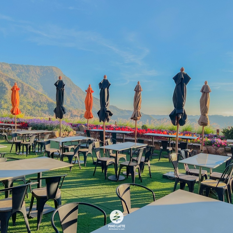 180 all day all season, 180 องศา คาเฟ่, 180' cafe, 180' coffee, artory cafe, cafe khao kho, cedar cafe, cedar ป่าสน cafe, cedar ป่าสน cafe khao kho, cedar ป่าสน cafe เขาค้อ, cedar ป่าสน cafe' at เขาค้อ, coffee love, dragon hill, dragon hill cafe, gino cafe, hydrangea cafe, jolly cafe, jolly cafe khao kho, jolly cafe เขาค้อ, la borne point, liangshan, liangshan coffee khao kho, linda cafe, linda cafe เขาค้อ, morngpar cafe, phukaew peak cafe, pino latte, pino latte restaurant and cafe, ricco slowbar เขาค้อ, story cup, story cup cafe, story cup khao kho, story cup เขาค้อ, takmoh coffee khao kho & โรงเตี๊ยมสุดขอบฟ้า, tanrak, taproot cafe, taproot cafe เขาค้อ, the gm bar & restaurant, the gm bar เขาค้อ, the piney bistro cafe, the pug coffee, the pug coffee lake hill, กาแฟดริป ricco slowbar, กาแฟดริป เขาค้อ, กาแฟตั๊กม้อ เขาค้อ, กาแฟอาราบิกา, คาเฟ่ เพชรบูรณ์, คาเฟ่ ใกล้ฉัน, คาเฟ่.ใหม่เขาค้อ, คาเฟ่ลับเขาค้อ, คาเฟ่เขาค้อ, คาเฟ่เขาค้อ 2024, คาเฟ่เขาค้อ 2567, คาเฟ่ใกล้ฉัน, คาเฟ่ในไร่บีเอ็นฟาร์ม, จีเอ็ม บาร์ เขาค้อ, จุดเช็คอิน คาเฟ่เขาค้อ, ดราก้อน ฮิลล์ คาเฟ่, ดราก้อน ฮิลล์ เขาค้อ, ตั๊กม้อ คอฟฟี่, ทุ่งไฮเดรนเยีย, บนทะเลหมอก & the pug coffee, พีโน่ ลาเต้, พีโน่ ลาเต้ เขาค้อ, ภูแก้วพีค, ภูแก้วพีค คาเฟ่, ภูแก้วพีค เขาค้อ, มองผา คาเฟ่ เขาค้อ, มองผา คาเฟ่ แอนด์ รีสอร์ท, ลาบล็อง พ้อยท์, ลาบล็อง พ้อยท์ เขาค้อ, ลินดา คาเฟ่, สตอรี่ คัฟ เขาค้อ, เขาค้อ, เข้าค่าย cafe’ & cabin, เข้าค่าย café & resort, เข้าค่าย café เขาค้อ, เข้าค่าย คาเฟ่, เข้าค่ายคาเฟ่, เดอะ ไพนี่ บิสโทร คาเฟ่, เหลียงซาน, เหลียงซาน เขาค้อ, แทนรัก กาแฟ, แทนรัก เขาค้อ, แทนรักทะเลหมอก รีสอร์ท, โรงเตี๊ยมสุดขอบฟ้า, ไพนี่ บิสโทร เขาค้อ, ไฮเดรนเยีย คาเฟ่, ไฮเดรนเยีย เขาค้อ, top 20+ คาเฟ่เขาค้อ [กรกฎาคม 2024] วิวสวย บรรยากาศดี ทัศนียภาพงดงาม