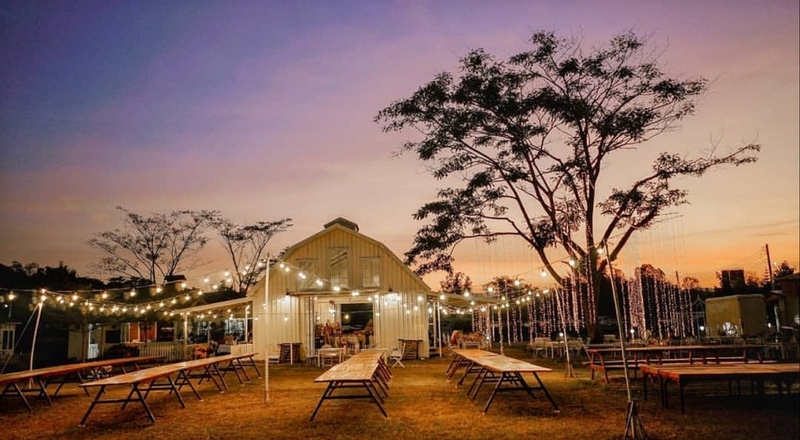 180 all day all season, 180 องศา คาเฟ่, 180' cafe, 180' coffee, artory cafe, cafe khao kho, cedar cafe, cedar ป่าสน cafe, cedar ป่าสน cafe khao kho, cedar ป่าสน cafe เขาค้อ, cedar ป่าสน cafe' at เขาค้อ, coffee love, dragon hill, dragon hill cafe, gino cafe, hydrangea cafe, jolly cafe, jolly cafe khao kho, jolly cafe เขาค้อ, la borne point, liangshan, liangshan coffee khao kho, linda cafe, linda cafe เขาค้อ, morngpar cafe, phukaew peak cafe, pino latte, pino latte restaurant and cafe, ricco slowbar เขาค้อ, story cup, story cup cafe, story cup khao kho, story cup เขาค้อ, takmoh coffee khao kho & โรงเตี๊ยมสุดขอบฟ้า, tanrak, taproot cafe, taproot cafe เขาค้อ, the gm bar & restaurant, the gm bar เขาค้อ, the piney bistro cafe, the pug coffee, the pug coffee lake hill, กาแฟดริป ricco slowbar, กาแฟดริป เขาค้อ, กาแฟตั๊กม้อ เขาค้อ, กาแฟอาราบิกา, คาเฟ่ เพชรบูรณ์, คาเฟ่ ใกล้ฉัน, คาเฟ่.ใหม่เขาค้อ, คาเฟ่ลับเขาค้อ, คาเฟ่เขาค้อ, คาเฟ่เขาค้อ 2024, คาเฟ่เขาค้อ 2567, คาเฟ่ใกล้ฉัน, คาเฟ่ในไร่บีเอ็นฟาร์ม, จีเอ็ม บาร์ เขาค้อ, จุดเช็คอิน คาเฟ่เขาค้อ, ดราก้อน ฮิลล์ คาเฟ่, ดราก้อน ฮิลล์ เขาค้อ, ตั๊กม้อ คอฟฟี่, ทุ่งไฮเดรนเยีย, บนทะเลหมอก & the pug coffee, พีโน่ ลาเต้, พีโน่ ลาเต้ เขาค้อ, ภูแก้วพีค, ภูแก้วพีค คาเฟ่, ภูแก้วพีค เขาค้อ, มองผา คาเฟ่ เขาค้อ, มองผา คาเฟ่ แอนด์ รีสอร์ท, ลาบล็อง พ้อยท์, ลาบล็อง พ้อยท์ เขาค้อ, ลินดา คาเฟ่, สตอรี่ คัฟ เขาค้อ, เขาค้อ, เข้าค่าย cafe’ & cabin, เข้าค่าย café & resort, เข้าค่าย café เขาค้อ, เข้าค่าย คาเฟ่, เข้าค่ายคาเฟ่, เดอะ ไพนี่ บิสโทร คาเฟ่, เหลียงซาน, เหลียงซาน เขาค้อ, แทนรัก กาแฟ, แทนรัก เขาค้อ, แทนรักทะเลหมอก รีสอร์ท, โรงเตี๊ยมสุดขอบฟ้า, ไพนี่ บิสโทร เขาค้อ, ไฮเดรนเยีย คาเฟ่, ไฮเดรนเยีย เขาค้อ, top 20+ คาเฟ่เขาค้อ [กรกฎาคม 2024] วิวสวย บรรยากาศดี ทัศนียภาพงดงาม