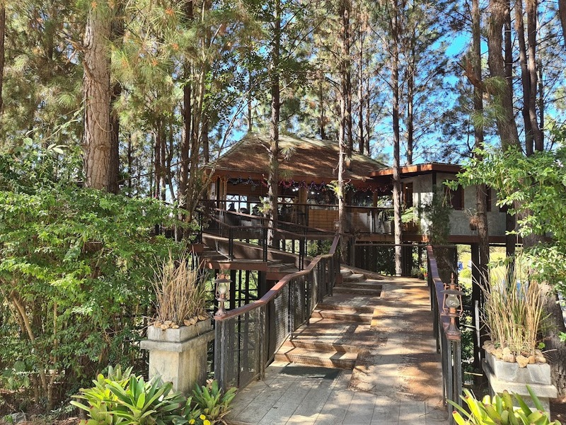 180 all day all season, 180 องศา คาเฟ่, 180' cafe, 180' coffee, artory cafe, cafe khao kho, cedar cafe, cedar ป่าสน cafe, cedar ป่าสน cafe khao kho, cedar ป่าสน cafe เขาค้อ, cedar ป่าสน cafe' at เขาค้อ, coffee love, dragon hill, dragon hill cafe, gino cafe, hydrangea cafe, jolly cafe, jolly cafe khao kho, jolly cafe เขาค้อ, la borne point, liangshan, liangshan coffee khao kho, linda cafe, linda cafe เขาค้อ, morngpar cafe, phukaew peak cafe, pino latte, pino latte restaurant and cafe, ricco slowbar เขาค้อ, story cup, story cup cafe, story cup khao kho, story cup เขาค้อ, takmoh coffee khao kho & โรงเตี๊ยมสุดขอบฟ้า, tanrak, taproot cafe, taproot cafe เขาค้อ, the gm bar & restaurant, the gm bar เขาค้อ, the piney bistro cafe, the pug coffee, the pug coffee lake hill, กาแฟดริป ricco slowbar, กาแฟดริป เขาค้อ, กาแฟตั๊กม้อ เขาค้อ, กาแฟอาราบิกา, คาเฟ่ เพชรบูรณ์, คาเฟ่ ใกล้ฉัน, คาเฟ่.ใหม่เขาค้อ, คาเฟ่ลับเขาค้อ, คาเฟ่เขาค้อ, คาเฟ่เขาค้อ 2024, คาเฟ่เขาค้อ 2567, คาเฟ่ใกล้ฉัน, คาเฟ่ในไร่บีเอ็นฟาร์ม, จีเอ็ม บาร์ เขาค้อ, จุดเช็คอิน คาเฟ่เขาค้อ, ดราก้อน ฮิลล์ คาเฟ่, ดราก้อน ฮิลล์ เขาค้อ, ตั๊กม้อ คอฟฟี่, ทุ่งไฮเดรนเยีย, บนทะเลหมอก & the pug coffee, พีโน่ ลาเต้, พีโน่ ลาเต้ เขาค้อ, ภูแก้วพีค, ภูแก้วพีค คาเฟ่, ภูแก้วพีค เขาค้อ, มองผา คาเฟ่ เขาค้อ, มองผา คาเฟ่ แอนด์ รีสอร์ท, ลาบล็อง พ้อยท์, ลาบล็อง พ้อยท์ เขาค้อ, ลินดา คาเฟ่, สตอรี่ คัฟ เขาค้อ, เขาค้อ, เข้าค่าย cafe’ & cabin, เข้าค่าย café & resort, เข้าค่าย café เขาค้อ, เข้าค่าย คาเฟ่, เข้าค่ายคาเฟ่, เดอะ ไพนี่ บิสโทร คาเฟ่, เหลียงซาน, เหลียงซาน เขาค้อ, แทนรัก กาแฟ, แทนรัก เขาค้อ, แทนรักทะเลหมอก รีสอร์ท, โรงเตี๊ยมสุดขอบฟ้า, ไพนี่ บิสโทร เขาค้อ, ไฮเดรนเยีย คาเฟ่, ไฮเดรนเยีย เขาค้อ, top 20+ คาเฟ่เขาค้อ [กรกฎาคม 2024] วิวสวย บรรยากาศดี ทัศนียภาพงดงาม