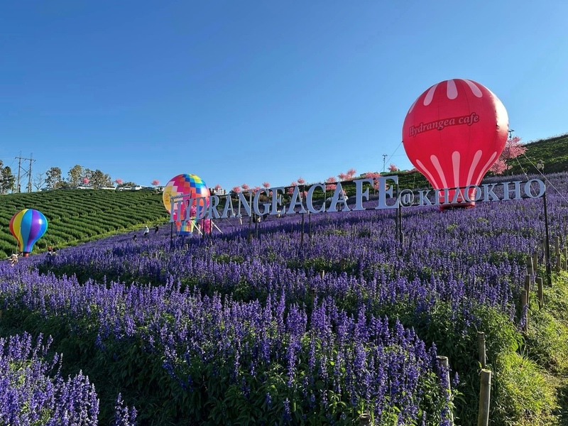 180 all day all season, 180 องศา คาเฟ่, 180' cafe, 180' coffee, artory cafe, cafe khao kho, cedar cafe, cedar ป่าสน cafe, cedar ป่าสน cafe khao kho, cedar ป่าสน cafe เขาค้อ, cedar ป่าสน cafe' at เขาค้อ, coffee love, dragon hill, dragon hill cafe, gino cafe, hydrangea cafe, jolly cafe, jolly cafe khao kho, jolly cafe เขาค้อ, la borne point, liangshan, liangshan coffee khao kho, linda cafe, linda cafe เขาค้อ, morngpar cafe, phukaew peak cafe, pino latte, pino latte restaurant and cafe, ricco slowbar เขาค้อ, story cup, story cup cafe, story cup khao kho, story cup เขาค้อ, takmoh coffee khao kho & โรงเตี๊ยมสุดขอบฟ้า, tanrak, taproot cafe, taproot cafe เขาค้อ, the gm bar & restaurant, the gm bar เขาค้อ, the piney bistro cafe, the pug coffee, the pug coffee lake hill, กาแฟดริป ricco slowbar, กาแฟดริป เขาค้อ, กาแฟตั๊กม้อ เขาค้อ, กาแฟอาราบิกา, คาเฟ่ เพชรบูรณ์, คาเฟ่ ใกล้ฉัน, คาเฟ่.ใหม่เขาค้อ, คาเฟ่ลับเขาค้อ, คาเฟ่เขาค้อ, คาเฟ่เขาค้อ 2024, คาเฟ่เขาค้อ 2567, คาเฟ่ใกล้ฉัน, คาเฟ่ในไร่บีเอ็นฟาร์ม, จีเอ็ม บาร์ เขาค้อ, จุดเช็คอิน คาเฟ่เขาค้อ, ดราก้อน ฮิลล์ คาเฟ่, ดราก้อน ฮิลล์ เขาค้อ, ตั๊กม้อ คอฟฟี่, ทุ่งไฮเดรนเยีย, บนทะเลหมอก & the pug coffee, พีโน่ ลาเต้, พีโน่ ลาเต้ เขาค้อ, ภูแก้วพีค, ภูแก้วพีค คาเฟ่, ภูแก้วพีค เขาค้อ, มองผา คาเฟ่ เขาค้อ, มองผา คาเฟ่ แอนด์ รีสอร์ท, ลาบล็อง พ้อยท์, ลาบล็อง พ้อยท์ เขาค้อ, ลินดา คาเฟ่, สตอรี่ คัฟ เขาค้อ, เขาค้อ, เข้าค่าย cafe’ & cabin, เข้าค่าย café & resort, เข้าค่าย café เขาค้อ, เข้าค่าย คาเฟ่, เข้าค่ายคาเฟ่, เดอะ ไพนี่ บิสโทร คาเฟ่, เหลียงซาน, เหลียงซาน เขาค้อ, แทนรัก กาแฟ, แทนรัก เขาค้อ, แทนรักทะเลหมอก รีสอร์ท, โรงเตี๊ยมสุดขอบฟ้า, ไพนี่ บิสโทร เขาค้อ, ไฮเดรนเยีย คาเฟ่, ไฮเดรนเยีย เขาค้อ, top 20+ คาเฟ่เขาค้อ [กรกฎาคม 2024] วิวสวย บรรยากาศดี ทัศนียภาพงดงาม