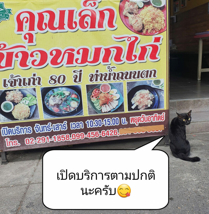 top 7+ ร้านข้าวหมกไก่เจ้าดัง หมักเครื่องเทศสูตรเฉพาะ อร่อยจนต้องบอกต่อ