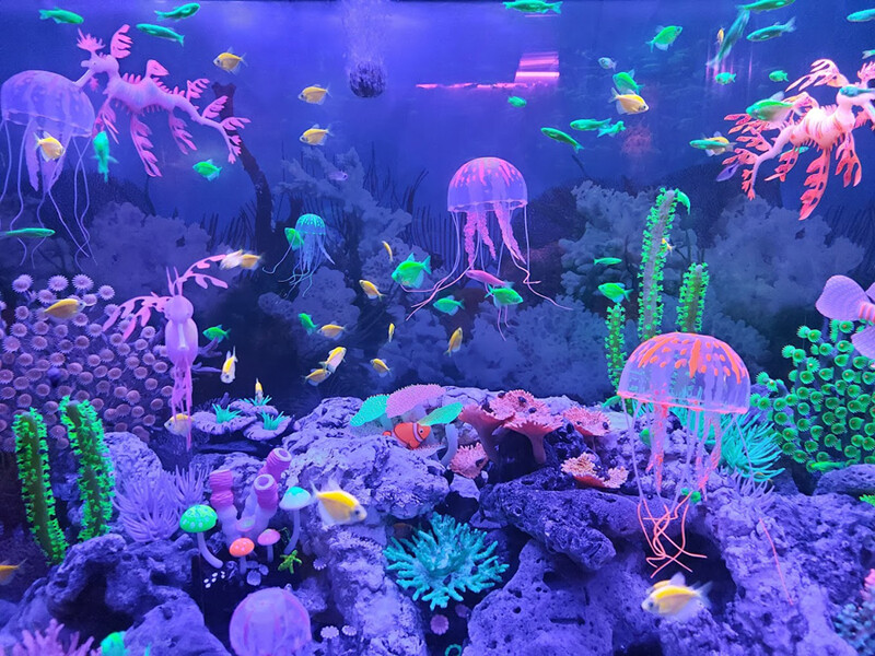 พัทยา, top 20+ ที่เที่ยวเด็กพัทยา 2567 เปิดใหม่ เข้าฟรี พาลูกเที่ยวพัทยา ชลบุรี ไปเช้าเย็นกลับ