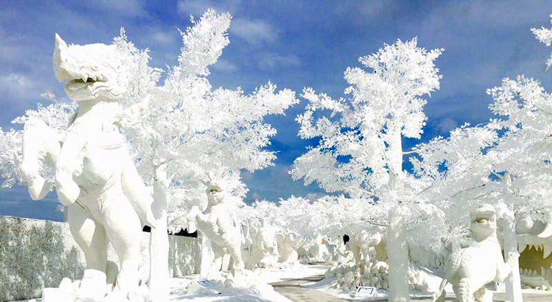 พัทยา, top 20+ ที่เที่ยวเด็กพัทยา 2567 เปิดใหม่ เข้าฟรี พาลูกเที่ยวพัทยา ชลบุรี ไปเช้าเย็นกลับ