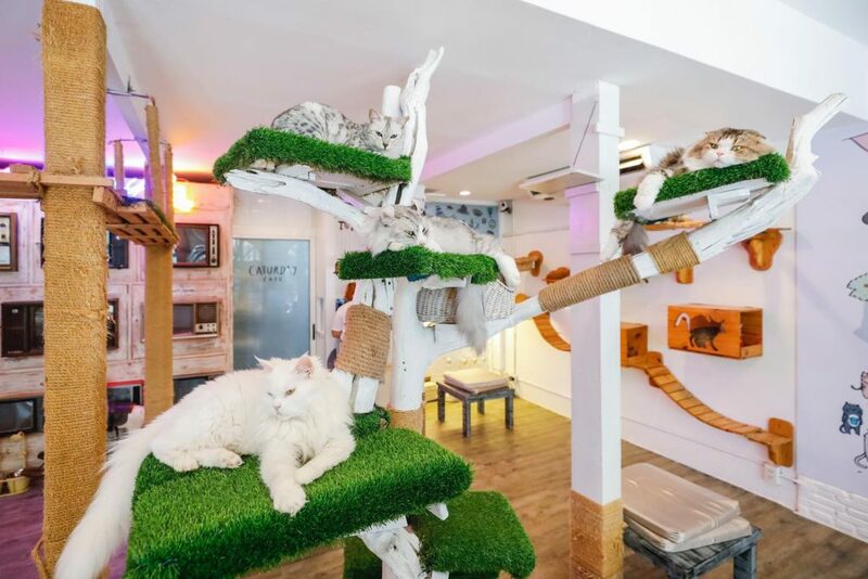 top 10+ คาเฟ่เด็ก ต้อนรับ วันเด็ก 2566 พาลูกไปสนุก สุขฟินทั้งครอบครัว