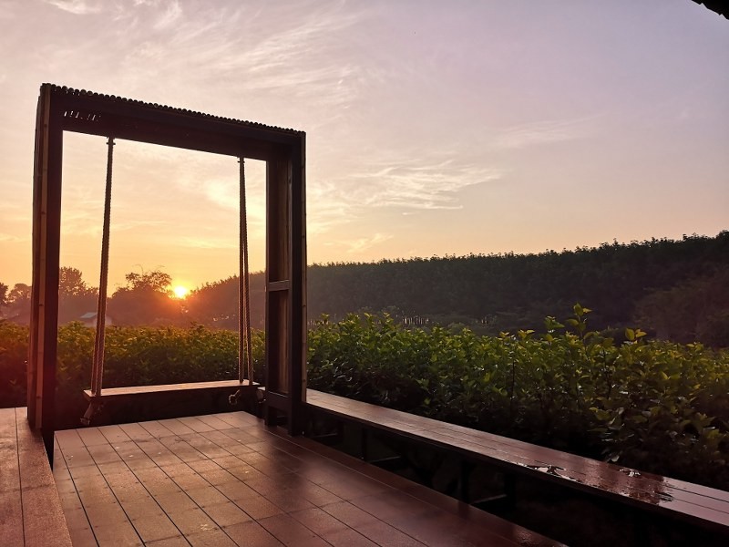 top 12+ ร้านอาหารวังน้ำเขียว 2567 บรรยากาศดี ราคาถูก ติดถนน เดินทางสะดวก