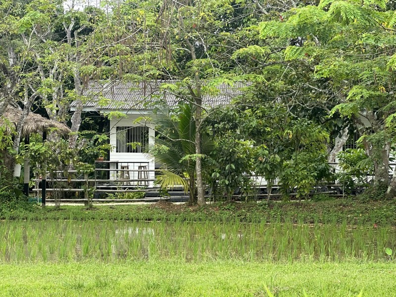 top 12+ ร้านอาหารวังน้ำเขียว 2567 บรรยากาศดี ราคาถูก ติดถนน เดินทางสะดวก