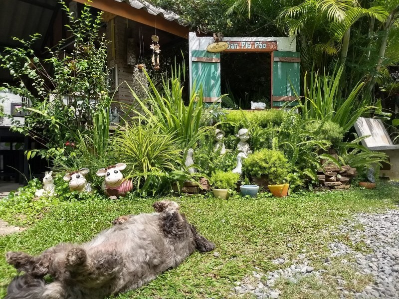 top 12+ ร้านอาหารวังน้ำเขียว 2567 บรรยากาศดี ราคาถูก ติดถนน เดินทางสะดวก