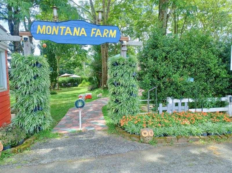 top 12+ ร้านอาหารวังน้ำเขียว 2567 บรรยากาศดี ราคาถูก ติดถนน เดินทางสะดวก