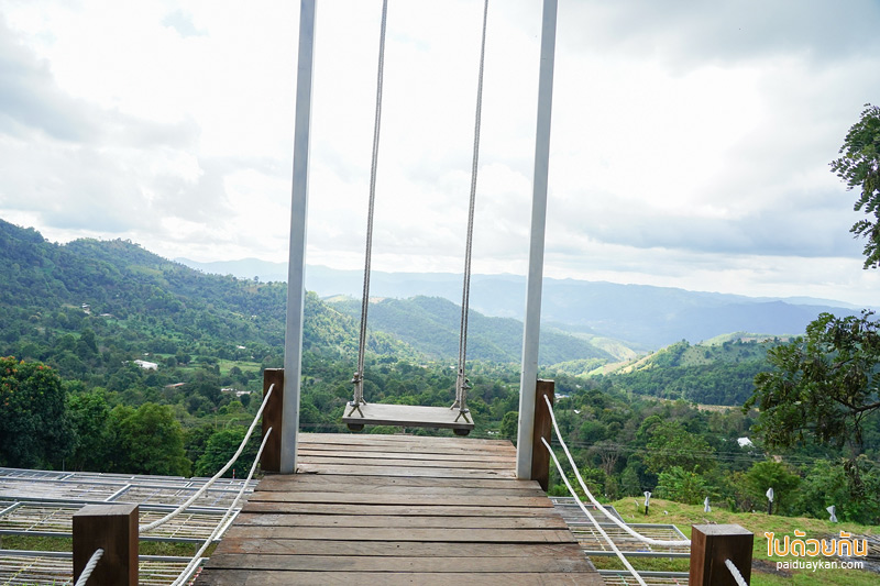 คาเฟ่ดอยช้าง, ดอยช้าง, เที่ยวดอยช้าง, top 12+ คาเฟ่ดอยช้าง ดีไซน์สวยวิวสุดปัง