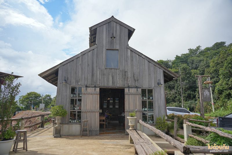 คาเฟ่ดอยช้าง, ดอยช้าง, เที่ยวดอยช้าง, top 12+ คาเฟ่ดอยช้าง ดีไซน์สวยวิวสุดปัง