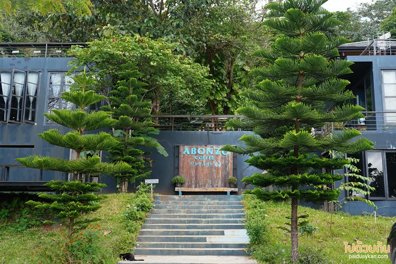 คาเฟ่ดอยช้าง, ดอยช้าง, เที่ยวดอยช้าง, top 12+ คาเฟ่ดอยช้าง ดีไซน์สวยวิวสุดปัง