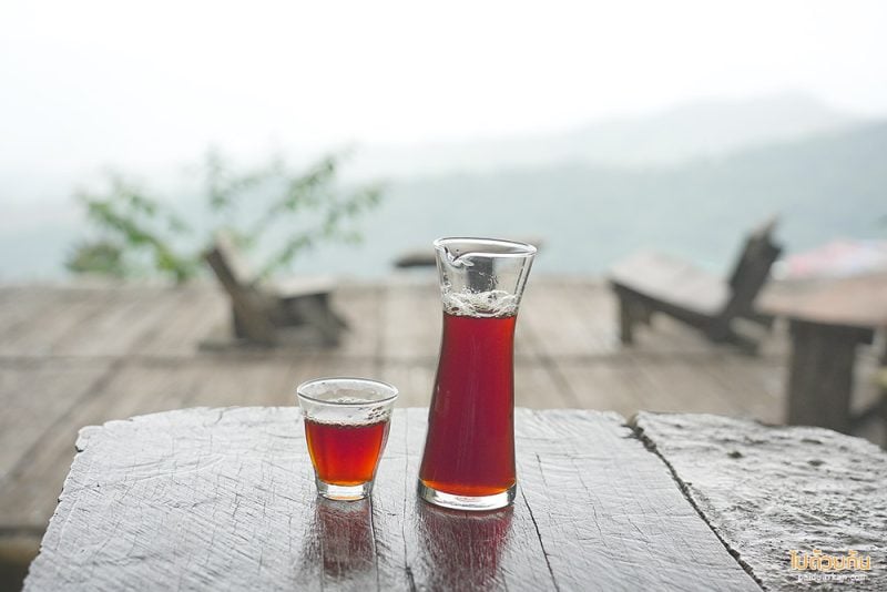 คาเฟ่ดอยช้าง, ดอยช้าง, เที่ยวดอยช้าง, top 12+ คาเฟ่ดอยช้าง ดีไซน์สวยวิวสุดปัง