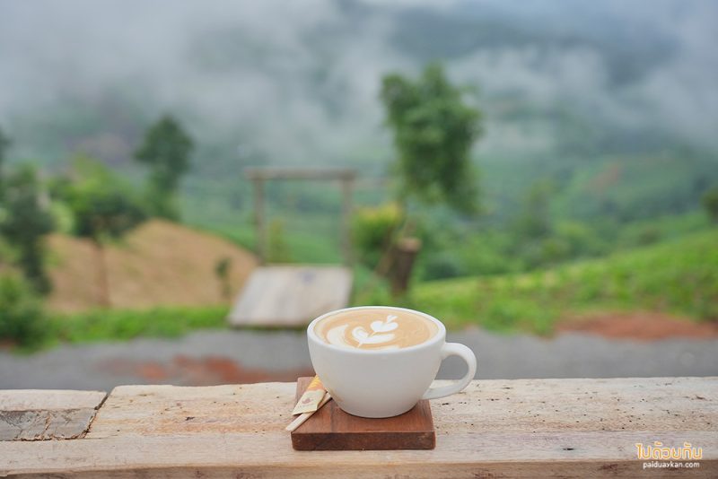 คาเฟ่ดอยช้าง, ดอยช้าง, เที่ยวดอยช้าง, top 12+ คาเฟ่ดอยช้าง ดีไซน์สวยวิวสุดปัง