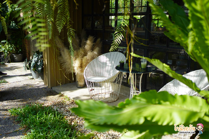 พักแปั๊บคาเฟ่, พักแปั๊บคาเฟ่ สมุทรสาคร คาเฟ่เรือนกระจกสุดเท่ ริมคลองพันท้าย