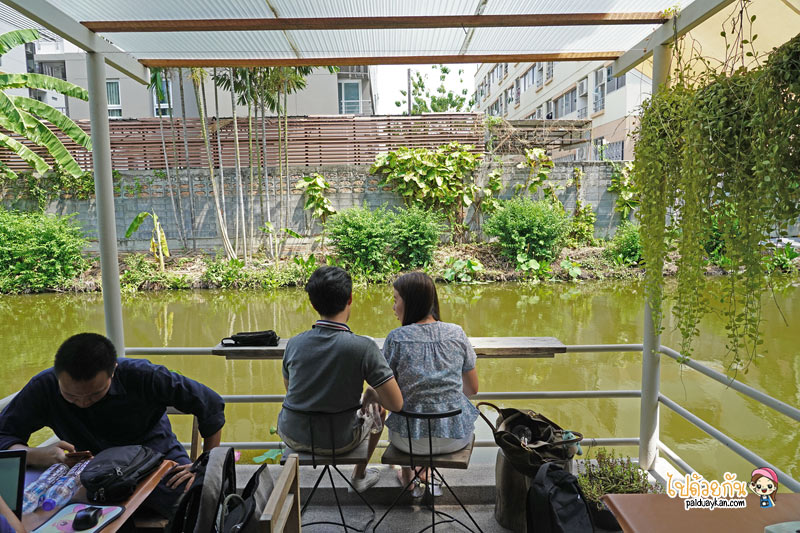 chowcher, ฌอเฌอ คอฟ, ร้านกาแฟลาดพร้าว, คาเฟ่ลาดพร้าว, ฌอเฌอ คอฟ คาเฟ่บ้านไม้สีขาว โอเอซิสย่านลาดพร้าว