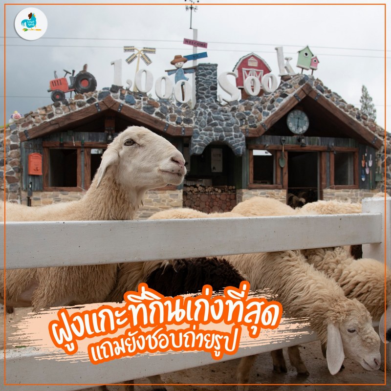 ชะอำ, เพชรบุรี, top 11+ ที่เที่ยวชะอำ 2567 ที่เที่ยวเปิดใหม่ พาลูกเที่ยวชะอำ เล่นน้ำทะเล นั่งชิลคาเฟ่สวย