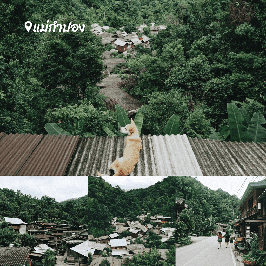 ที่เที่ยวเชียงใหม่, บ้างม้งดอยปุย, บ้านนาเลาใหม่, หมู่บ้านกลางป่า, หมู่บ้านแม่ลาย, เที่ยวแม่กำปอง, แม่กำปอง, โฮมสเตย์, รวม 4 หมู่บ้านกลางป่า เชียงใหม่ น่าเที่ยว สุดแสนสโลว์ไลฟ์