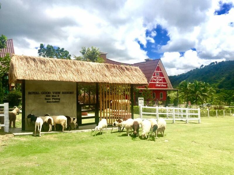 top 7+ ที่พักวิวสวยใกล้กรุงเทพ ที่พักวิวทุ่งนาสวยๆ เดินทางไม่ไกล