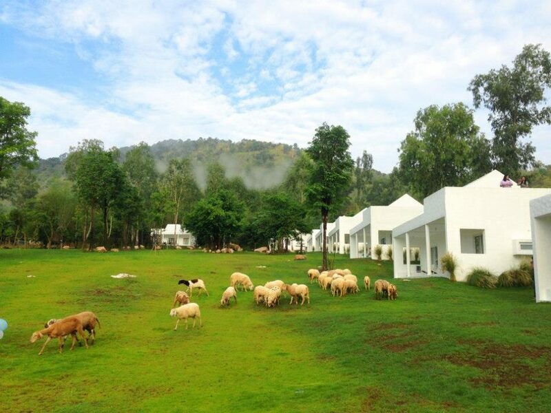 top 7+ ที่พักวิวสวยใกล้กรุงเทพ ที่พักวิวทุ่งนาสวยๆ เดินทางไม่ไกล